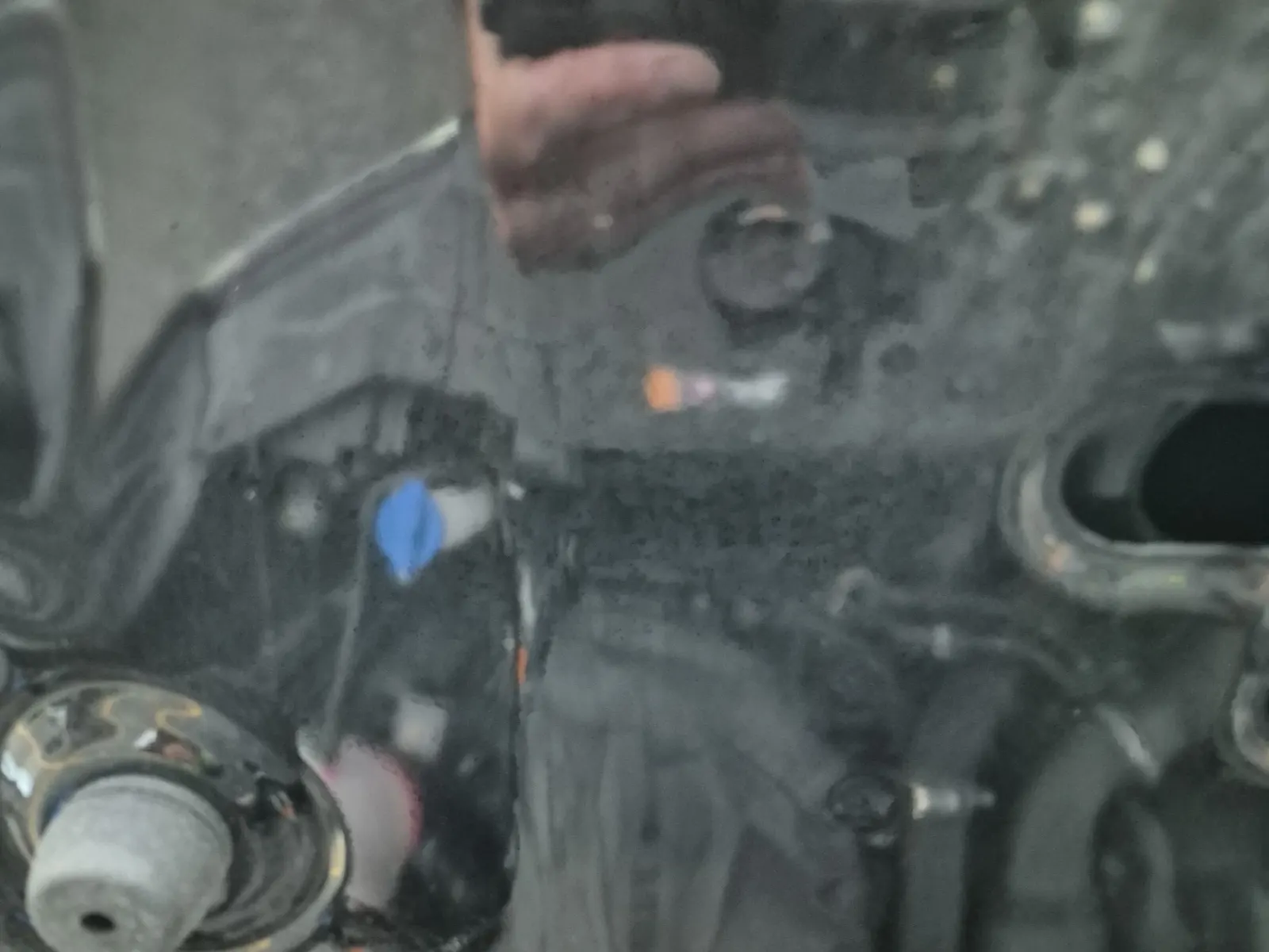 Emission Sticker Photo