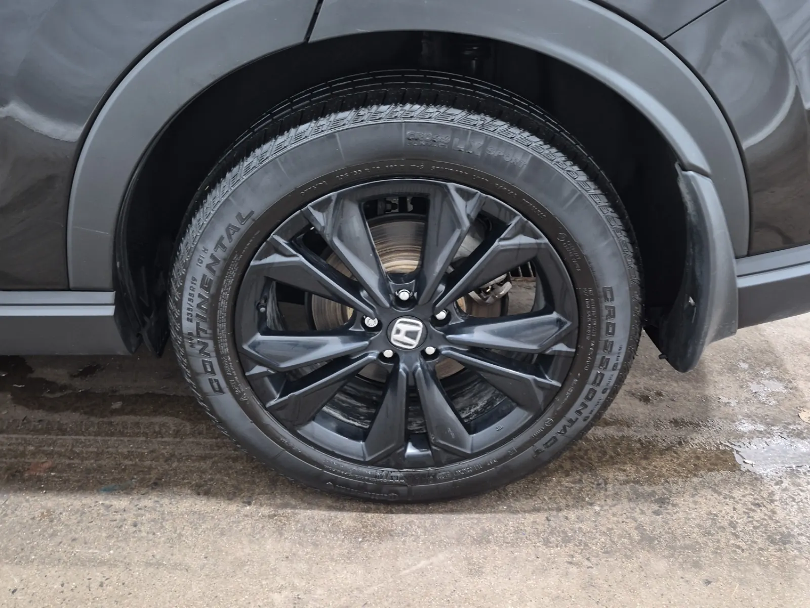 Left Rear Wheel/Tire Photo