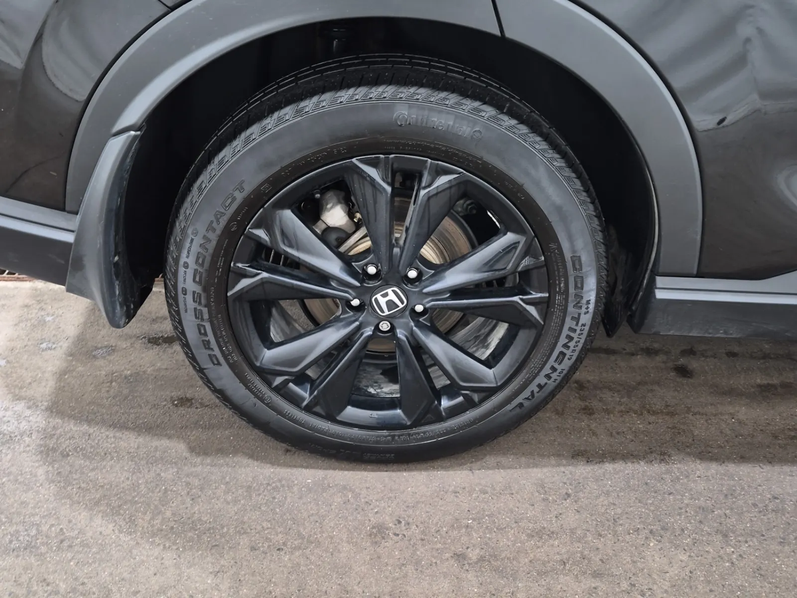 Right Rear Wheel/Tire Photo