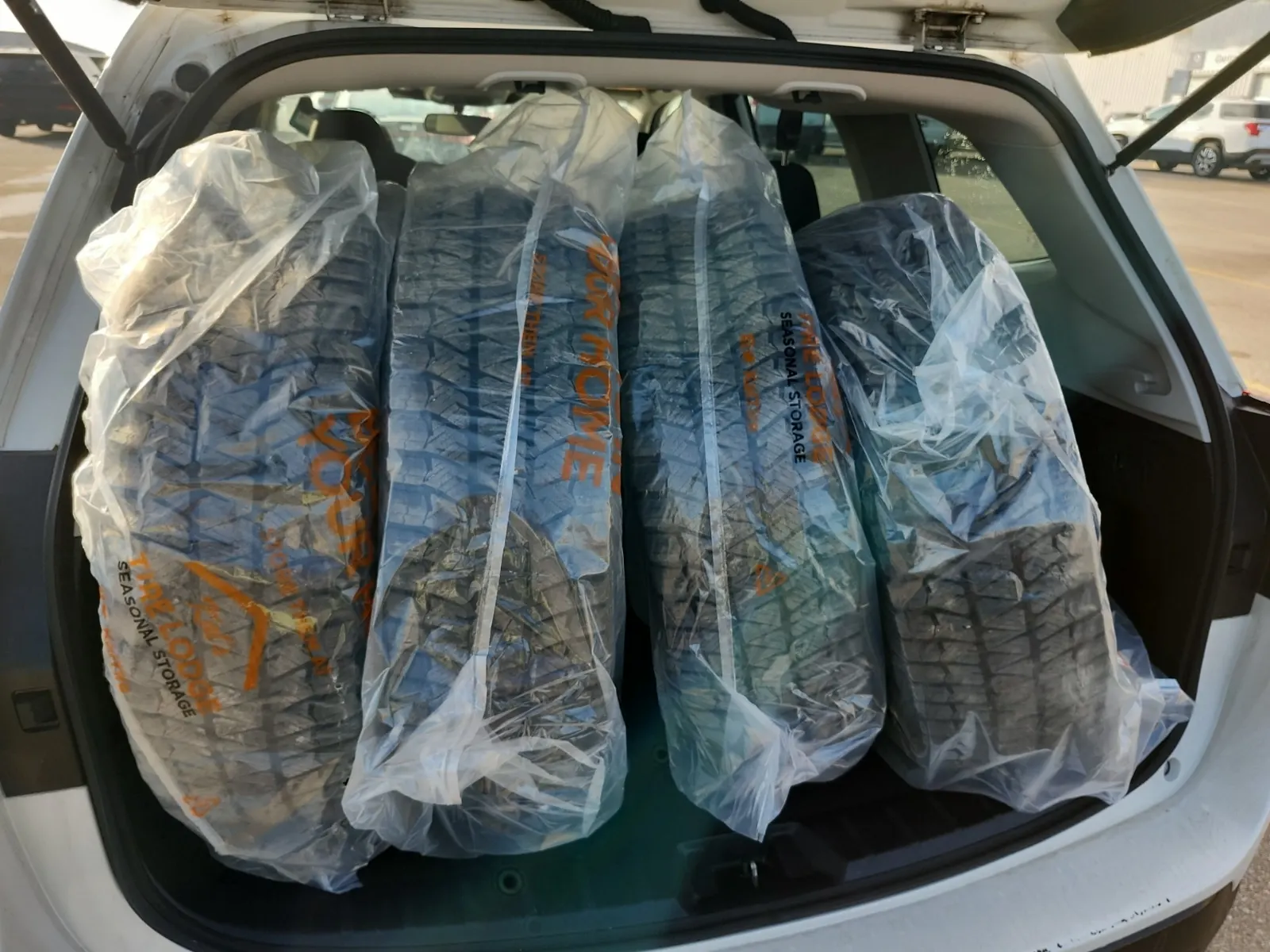 Cargo Area Photo