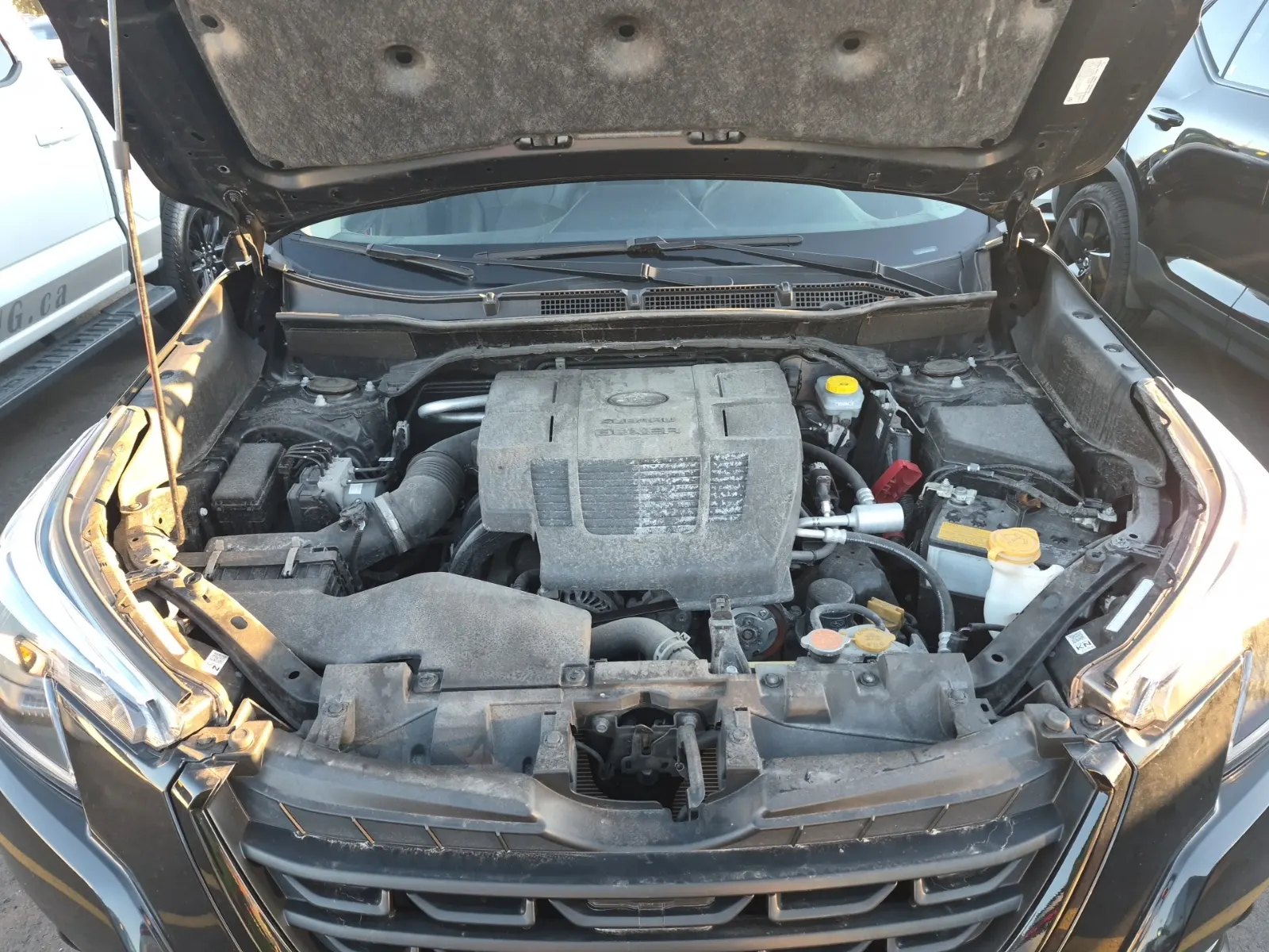 Engine Photo