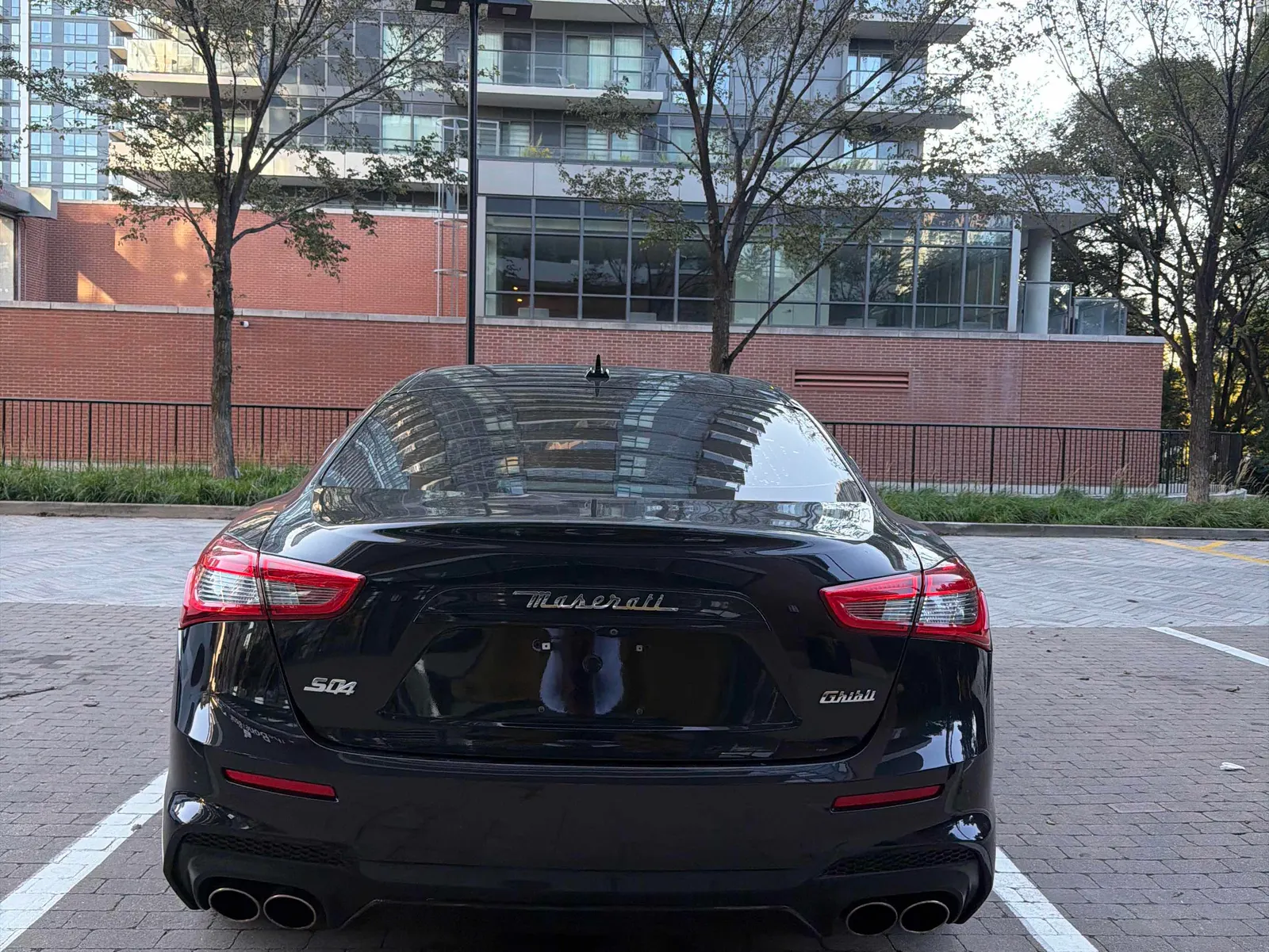 Back