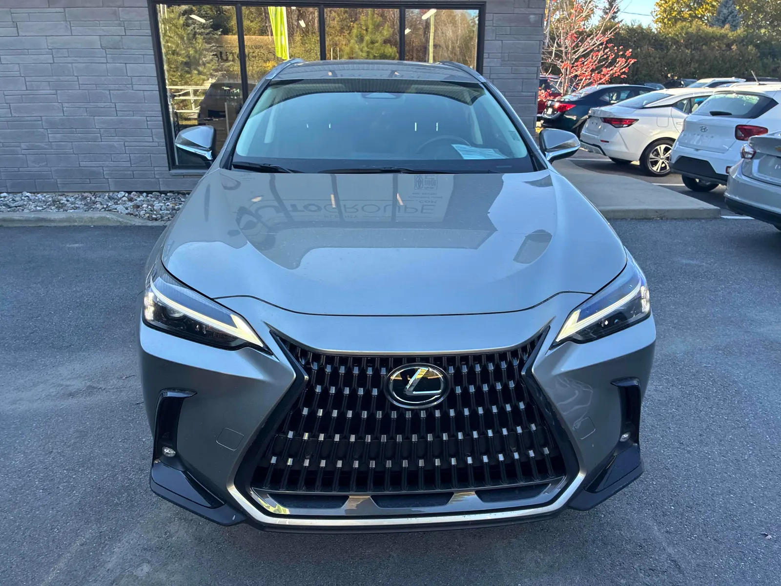 Front