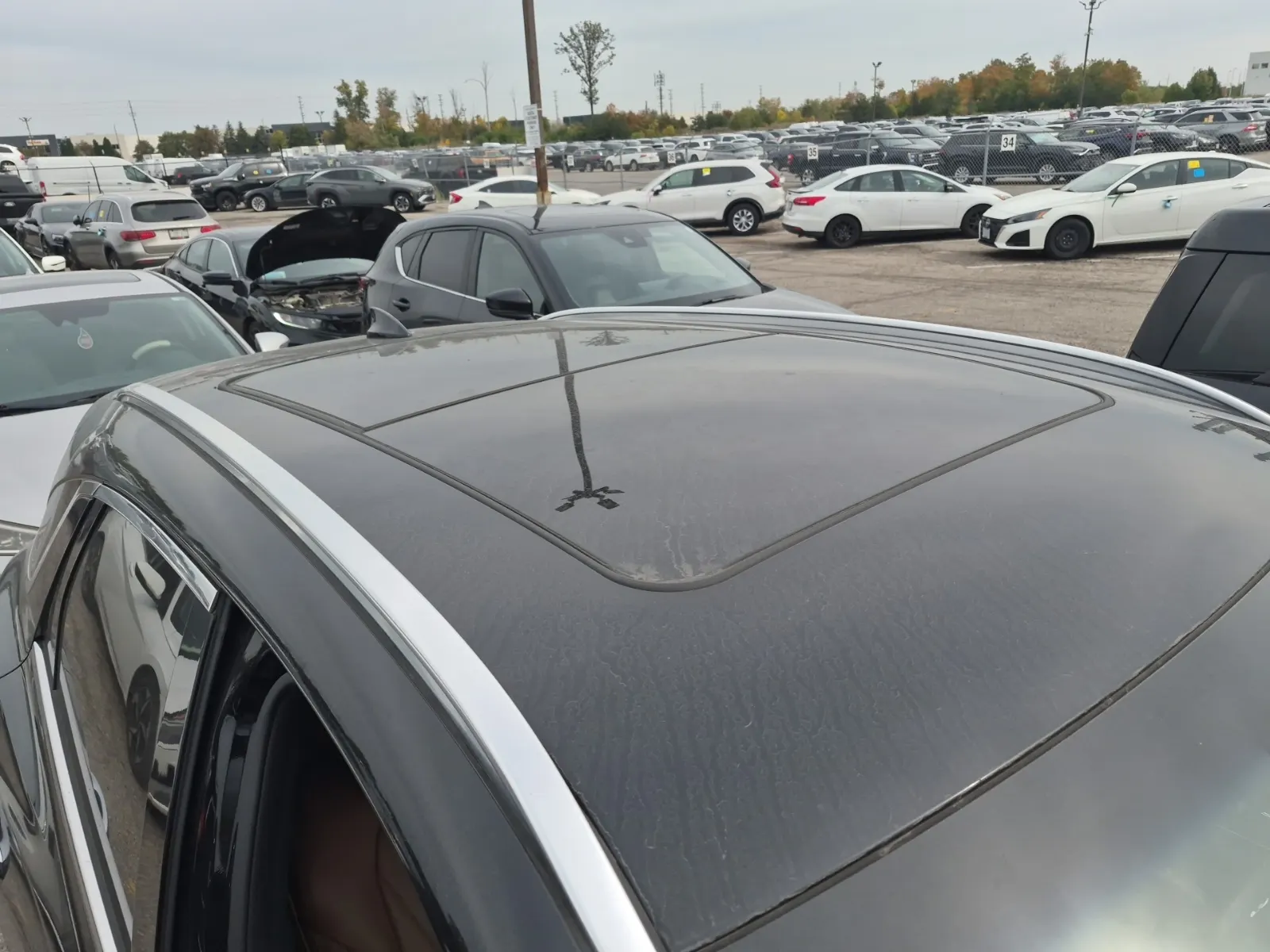 Exterior Roof Photo