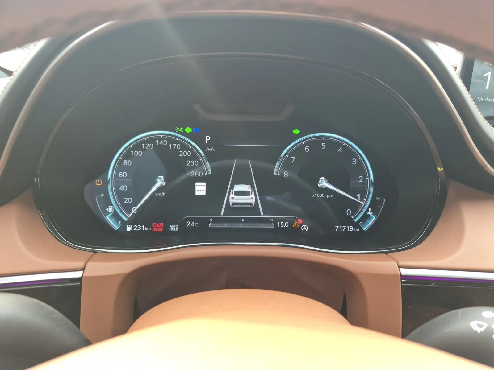 Odometer Photo