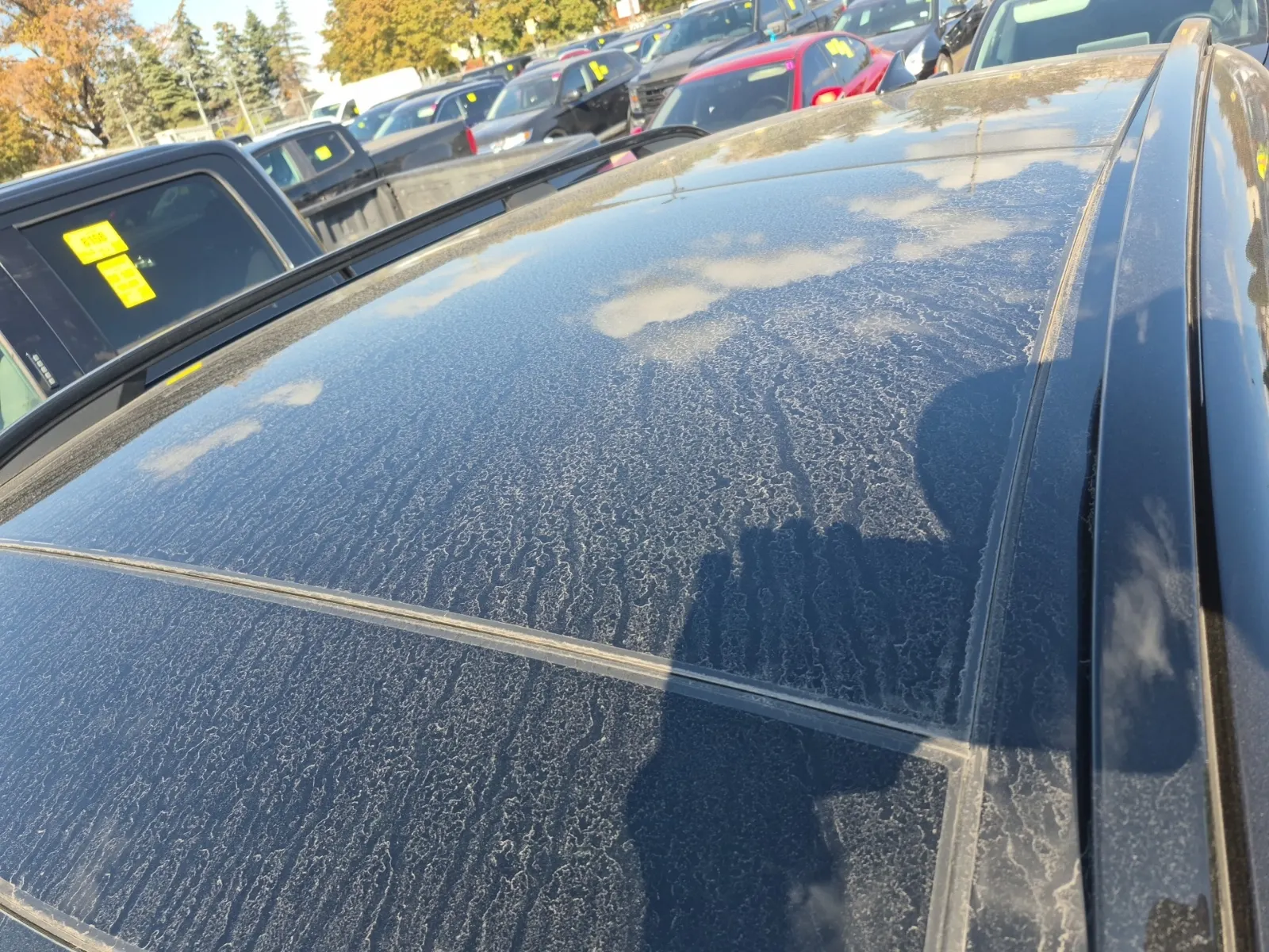Exterior Roof Photo