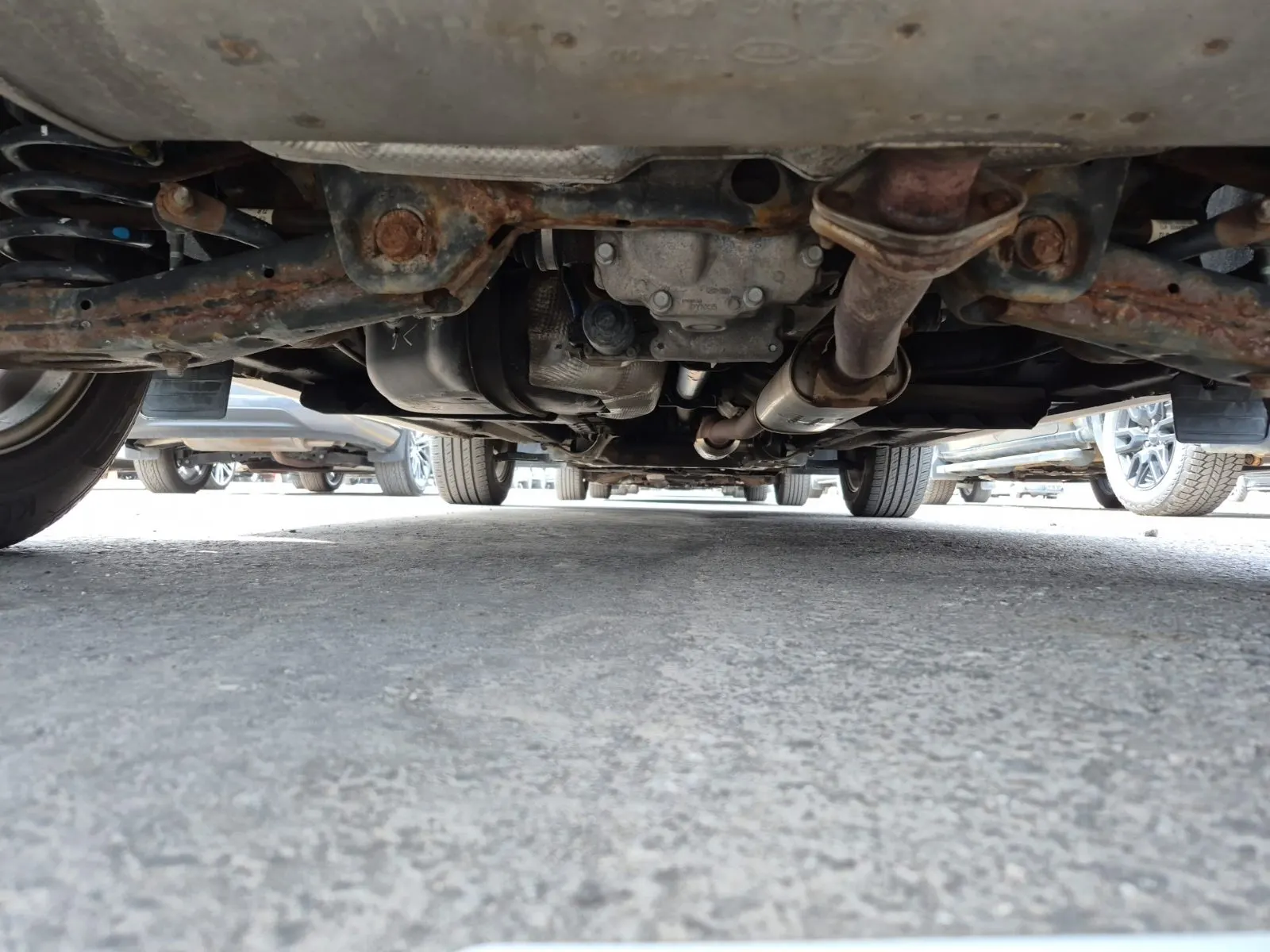 Undercarriage - Rear Photo