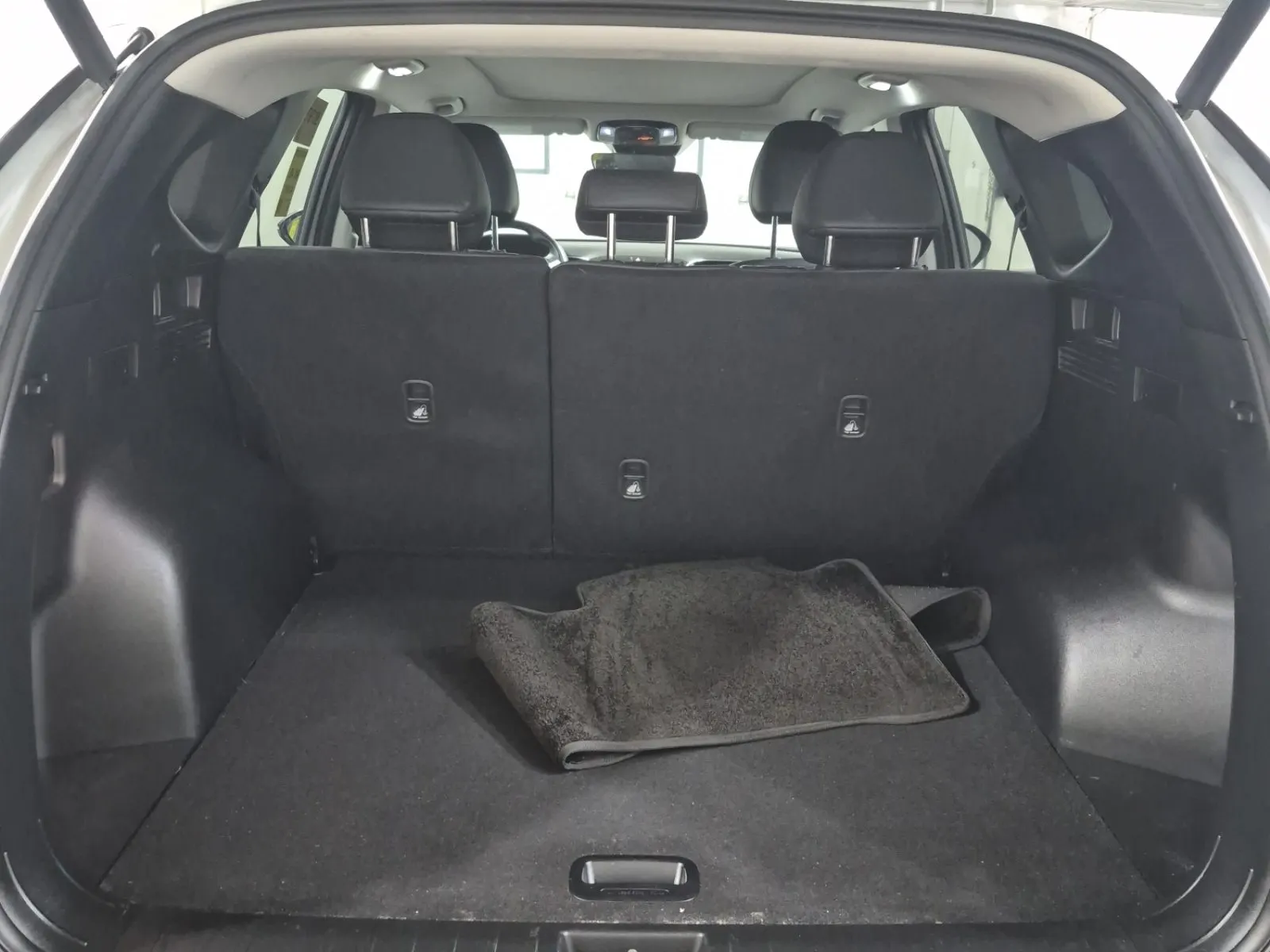 Cargo Area Photo