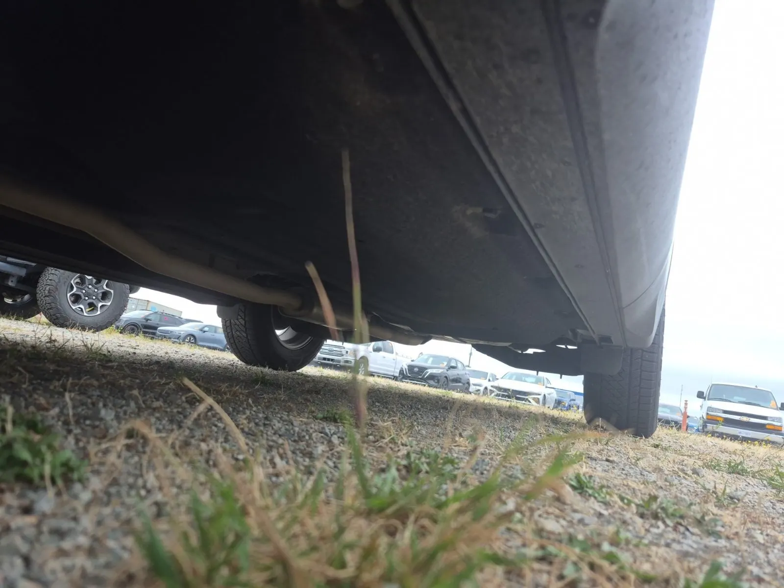Undercarriage - Driver Photo