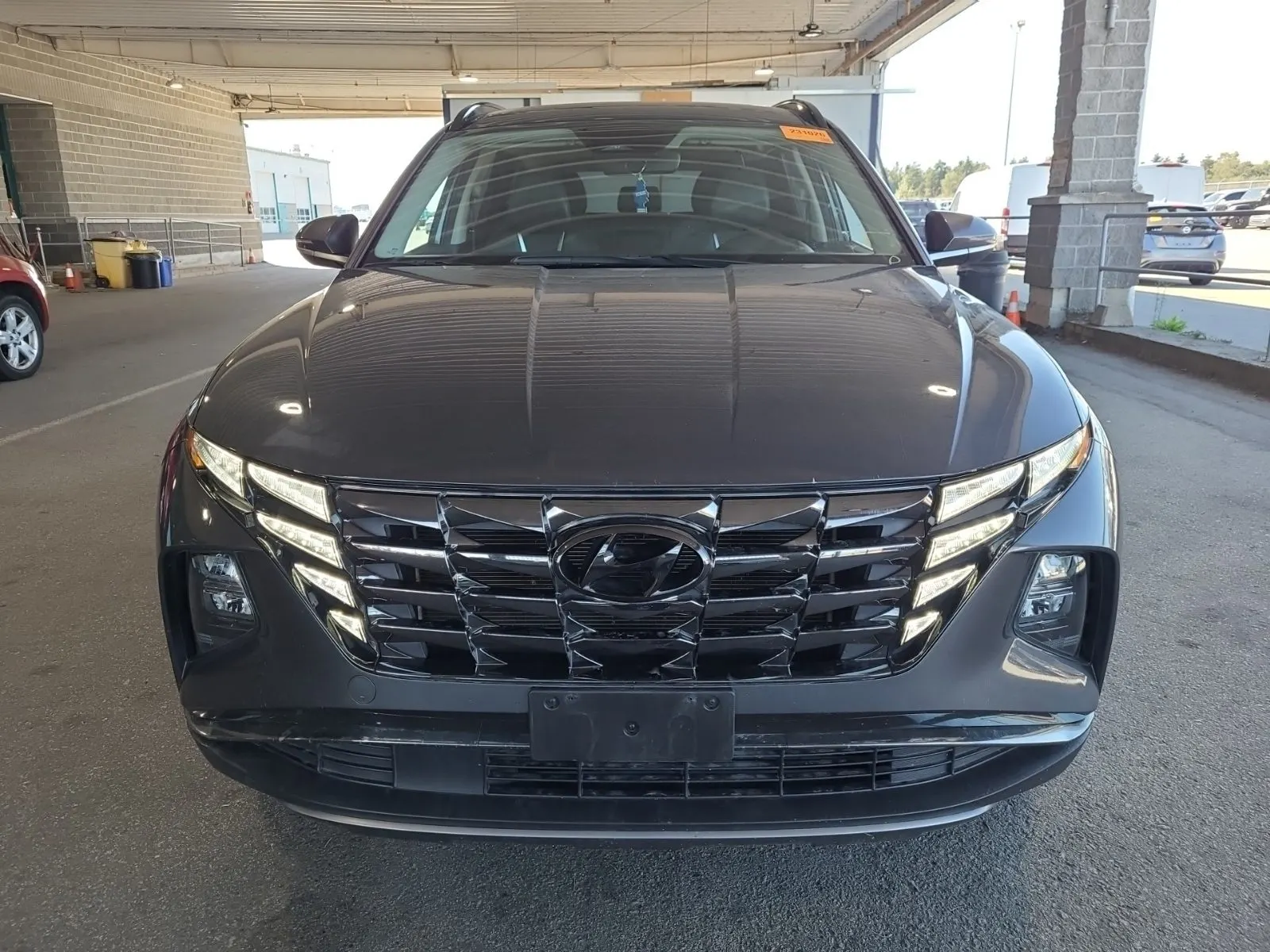 Full Front Photo