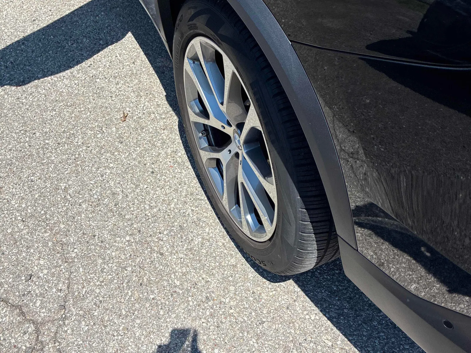 Additional Photo