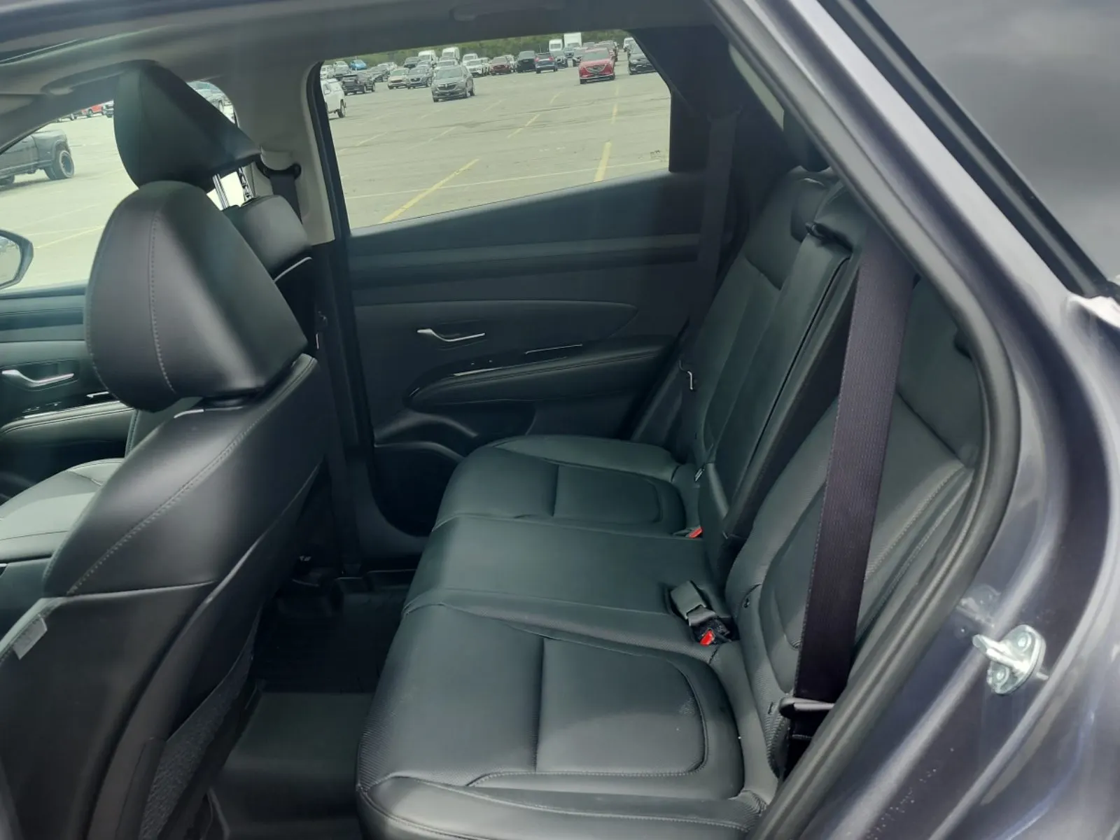 Rear Interior Photo
