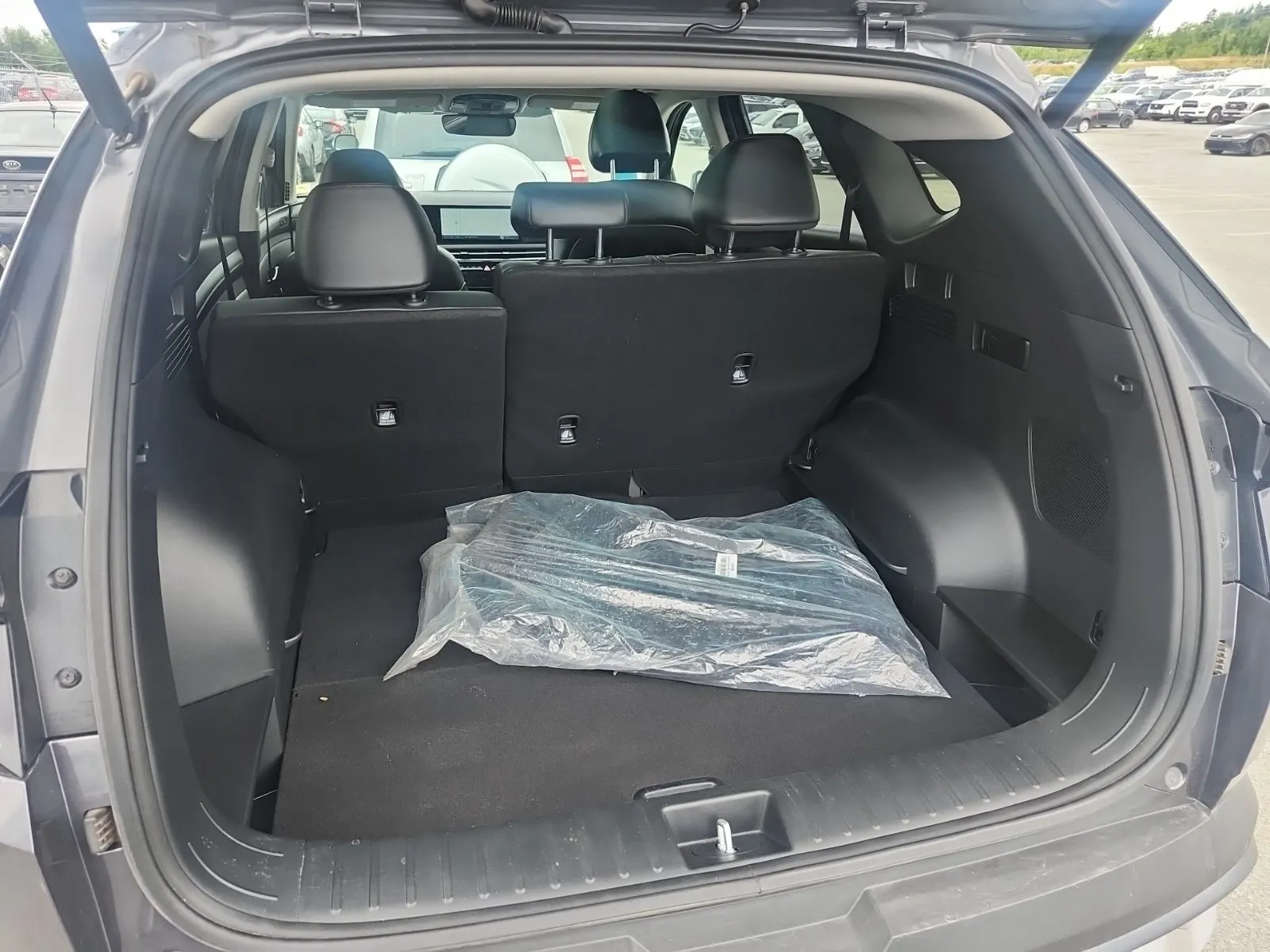 Cargo Area Photo