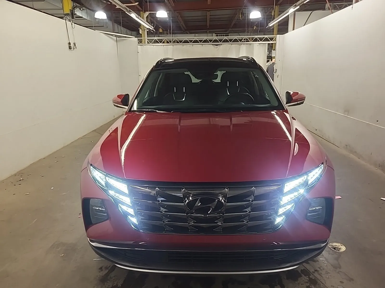 Full Front Photo