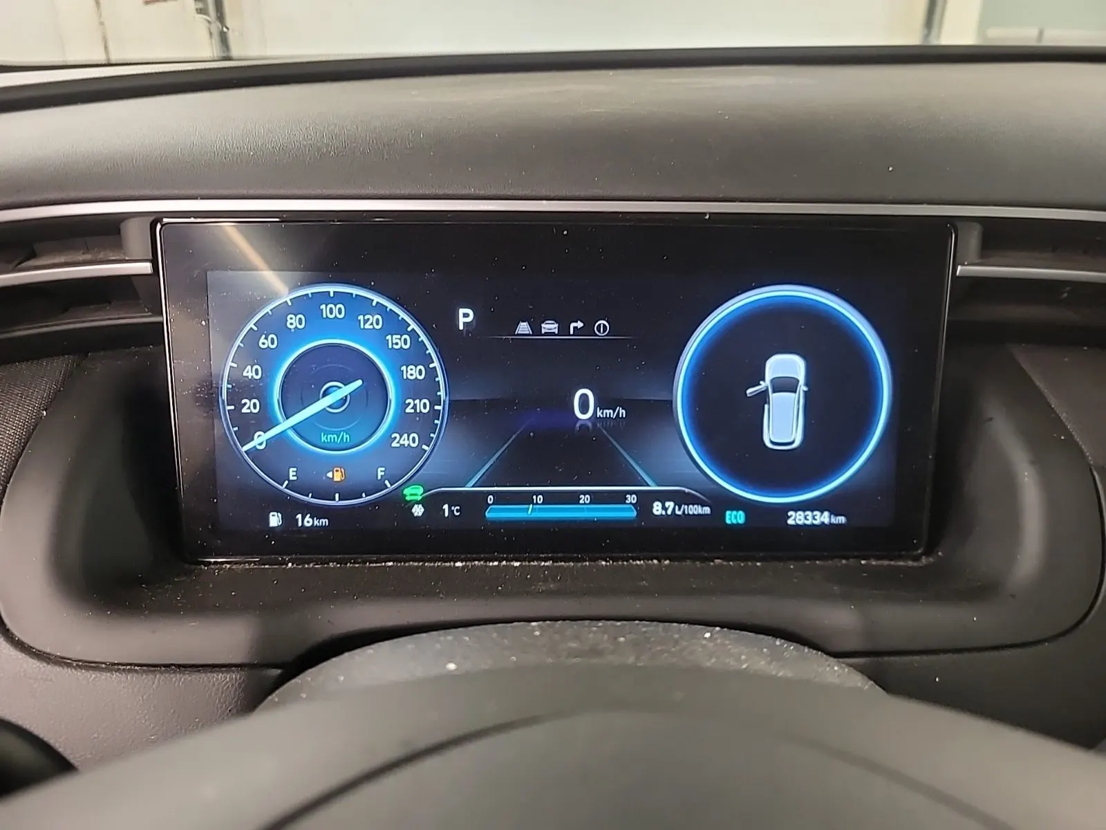 Odometer Photo