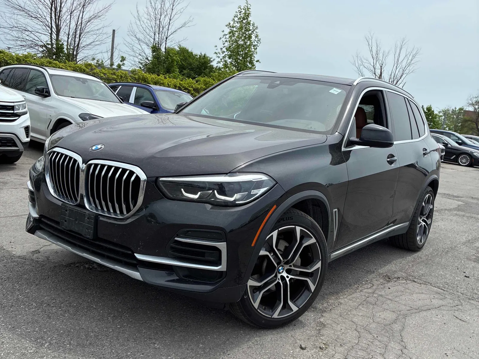 2023 BMW X5