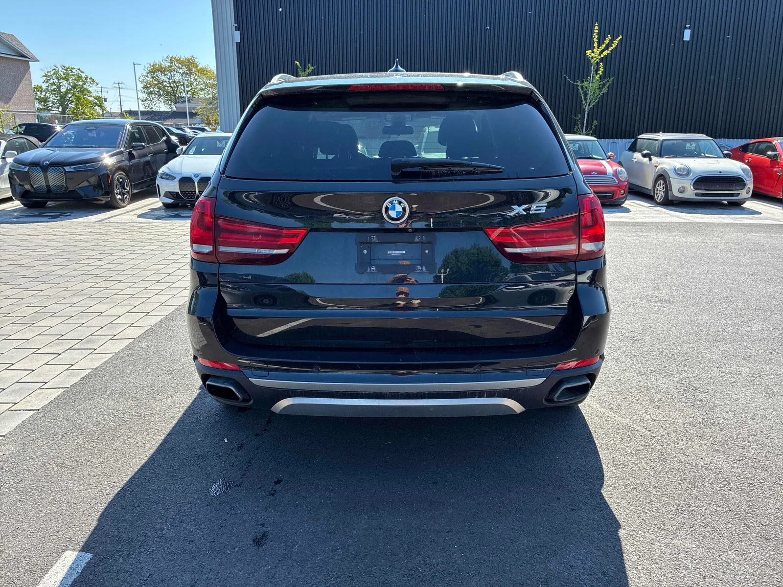 Back