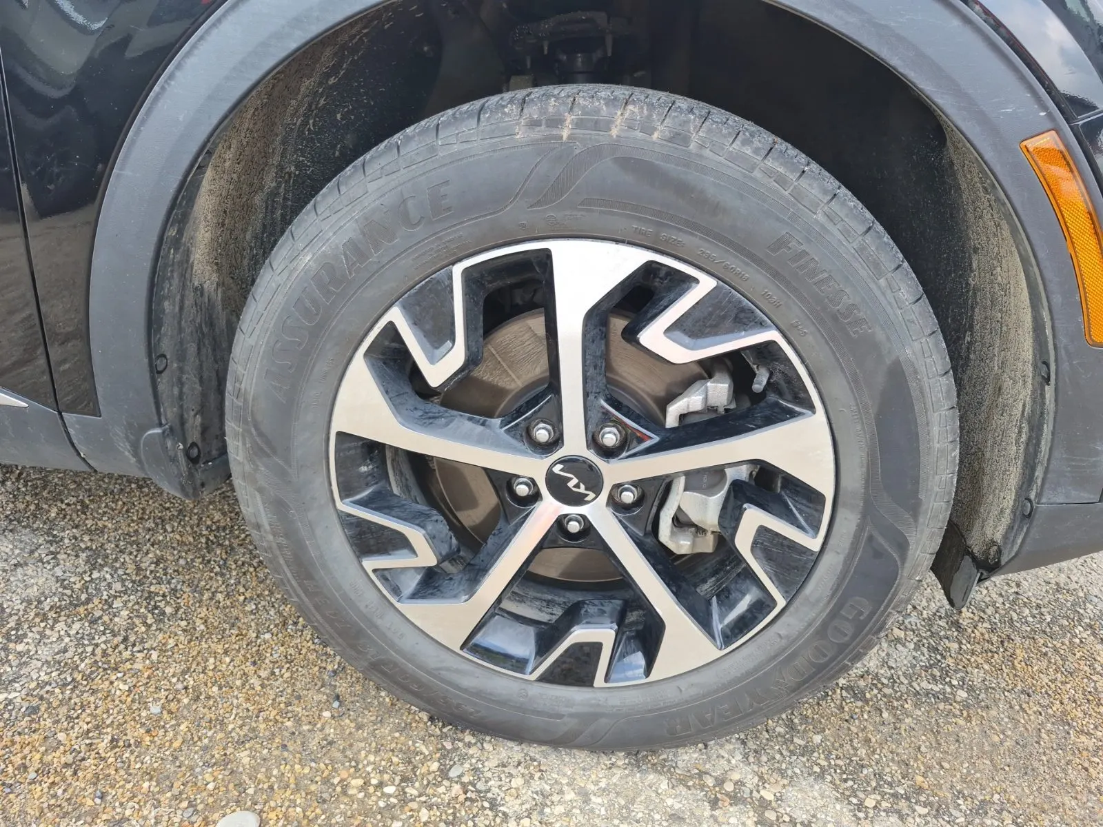 Right Front Wheel/Tire Photo