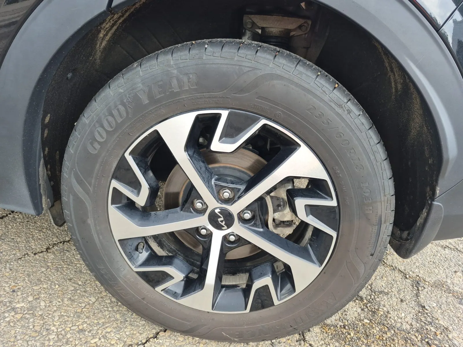 Left Rear Wheel/Tire Photo