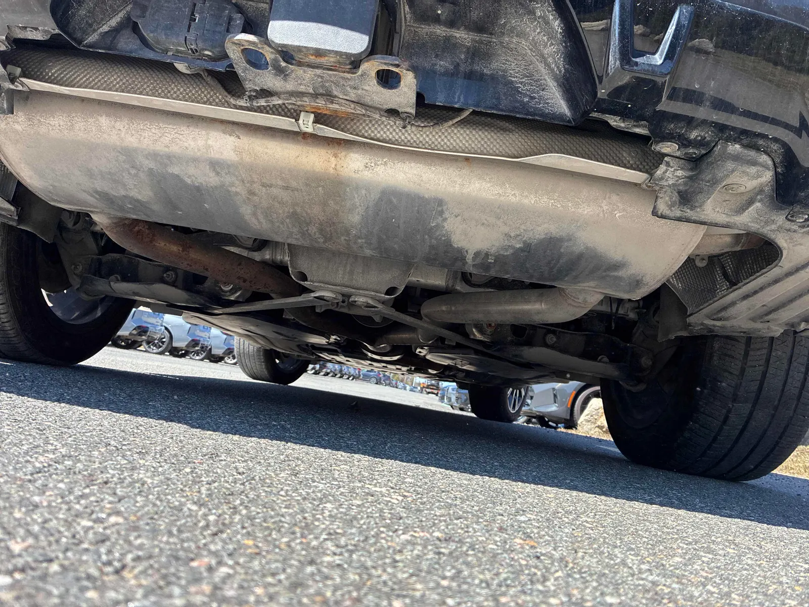 Additional Photo