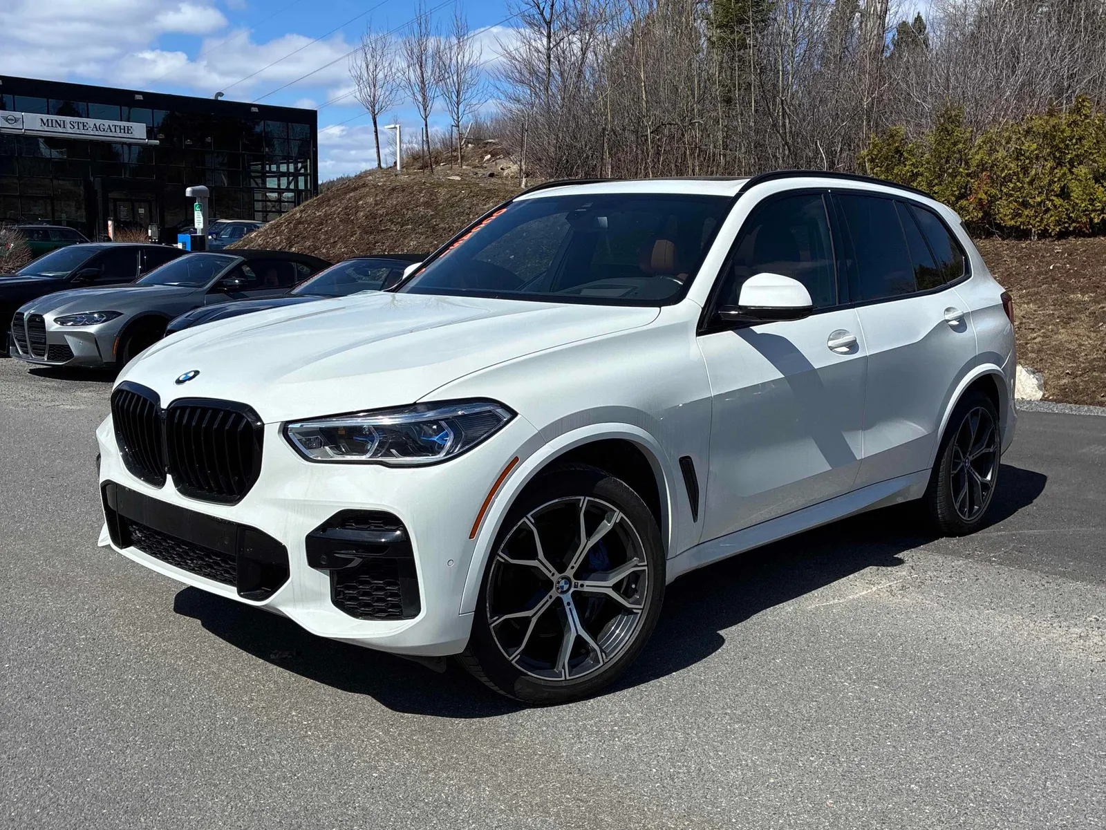 2022 BMW X5