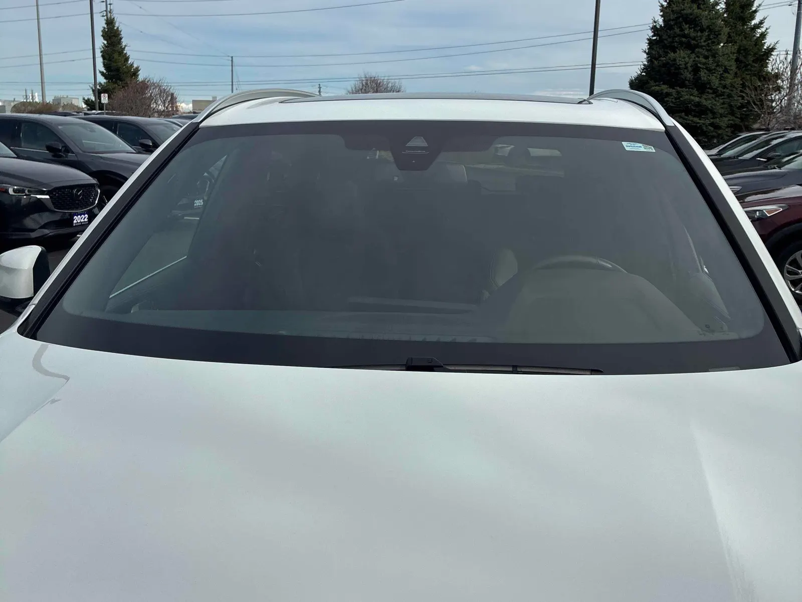 Additional Photo