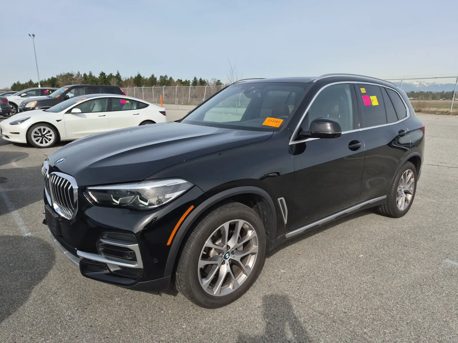 2023 BMW X5