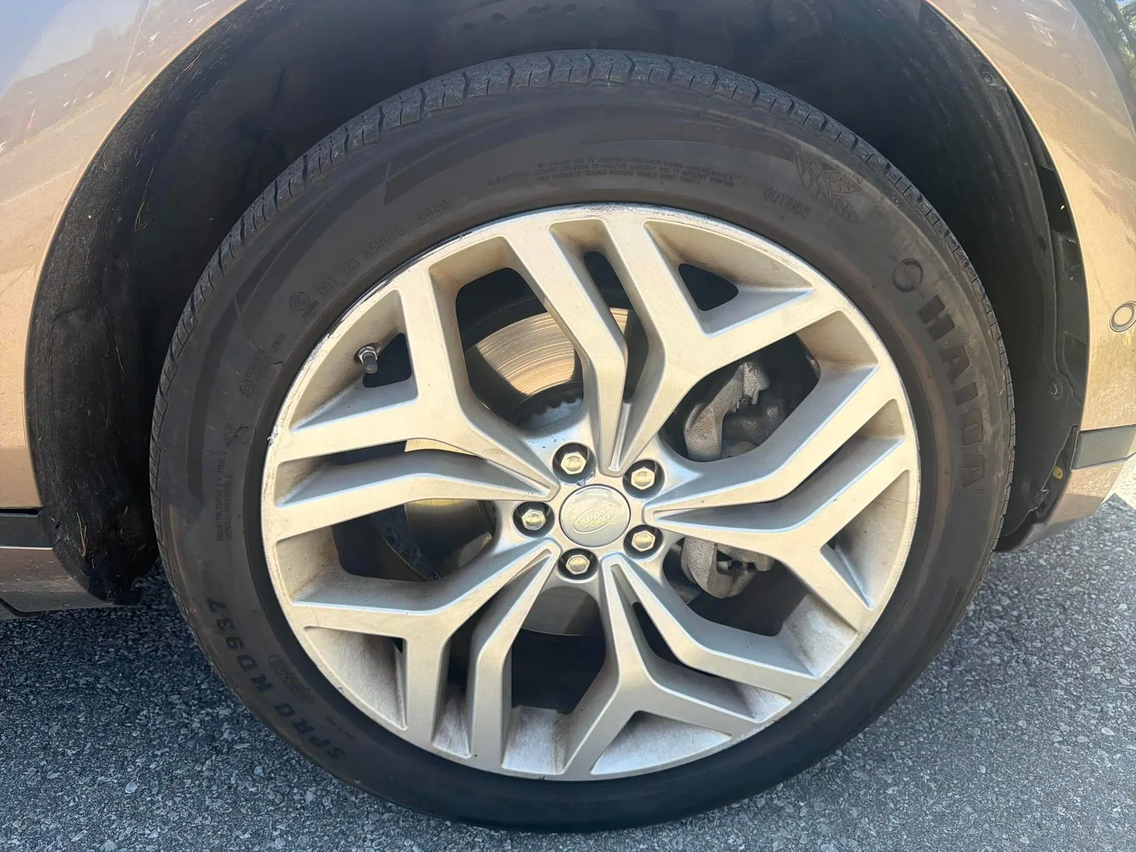 Tire