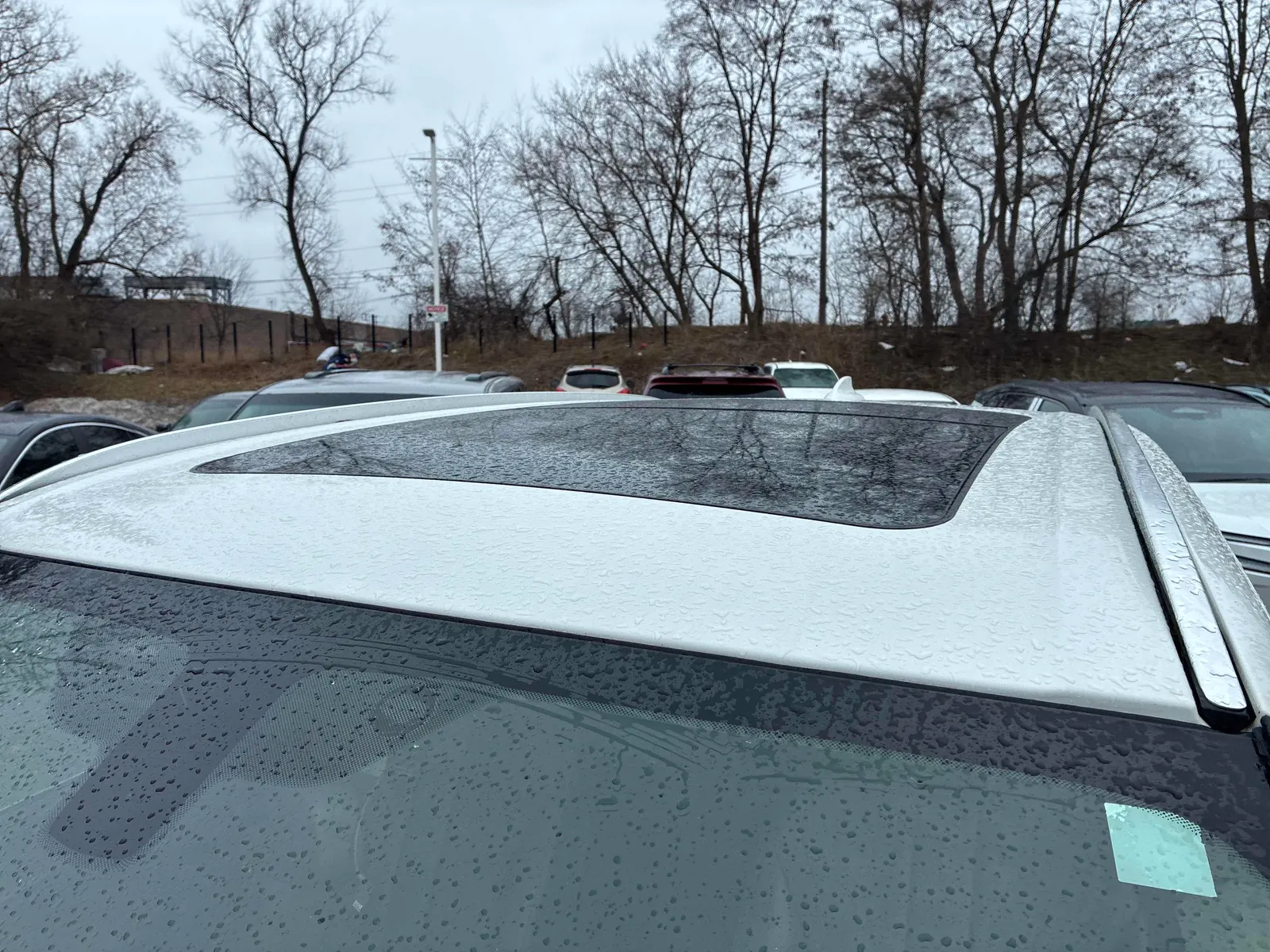 Additional Photo