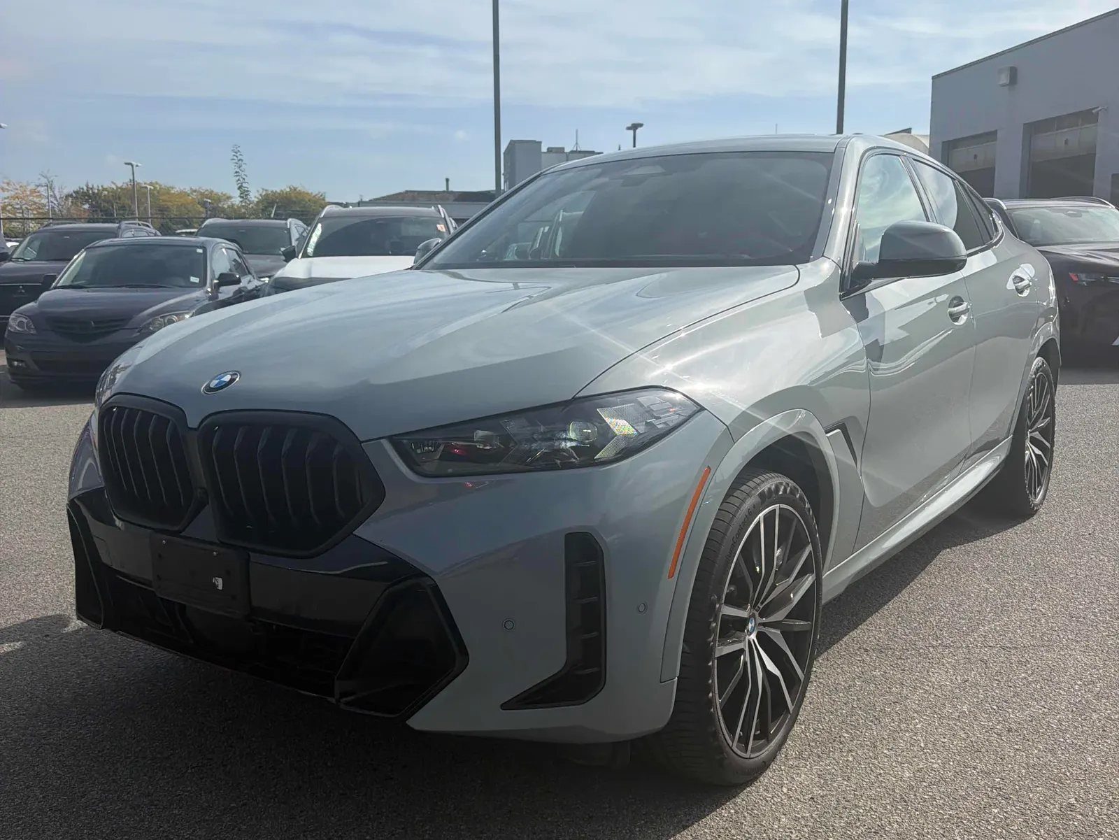 2024 BMW X6