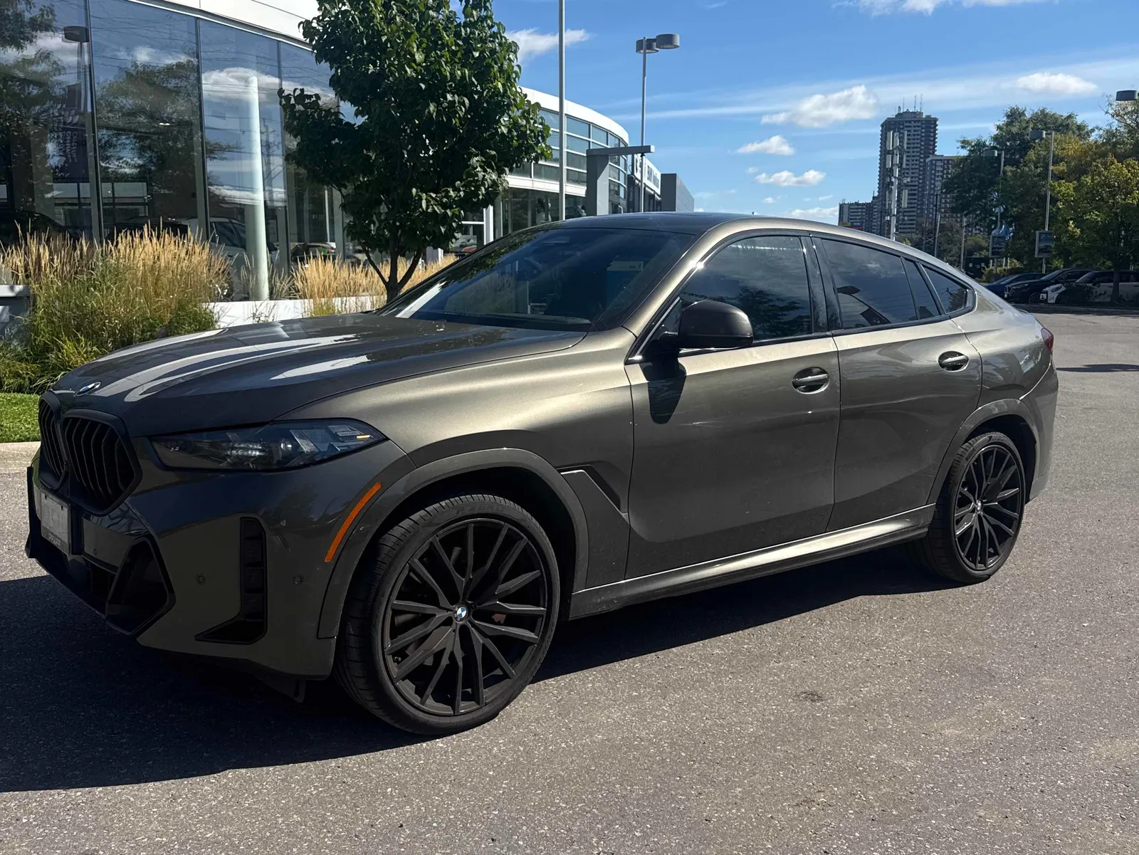 2024 BMW X6