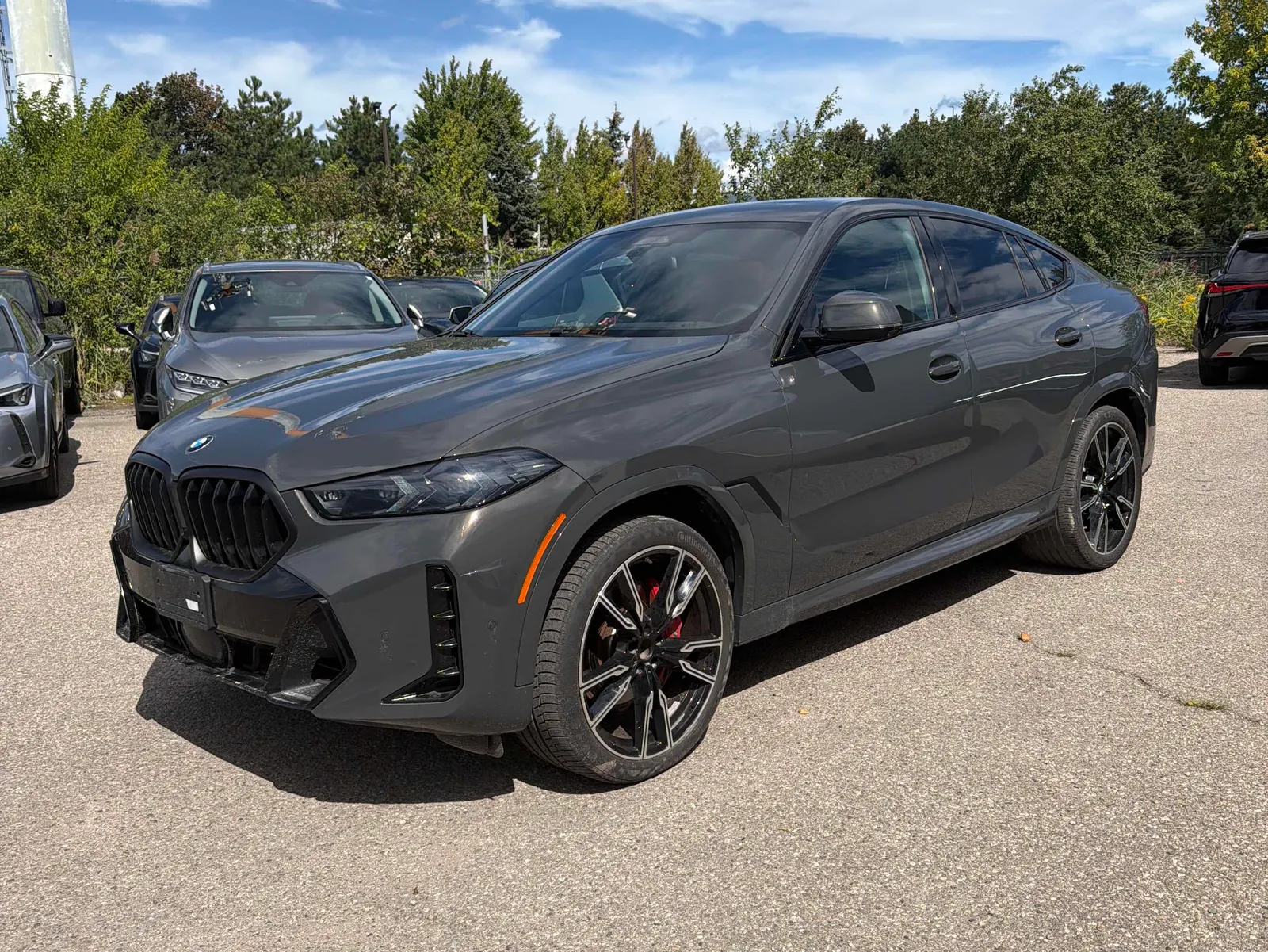 2024 BMW X6