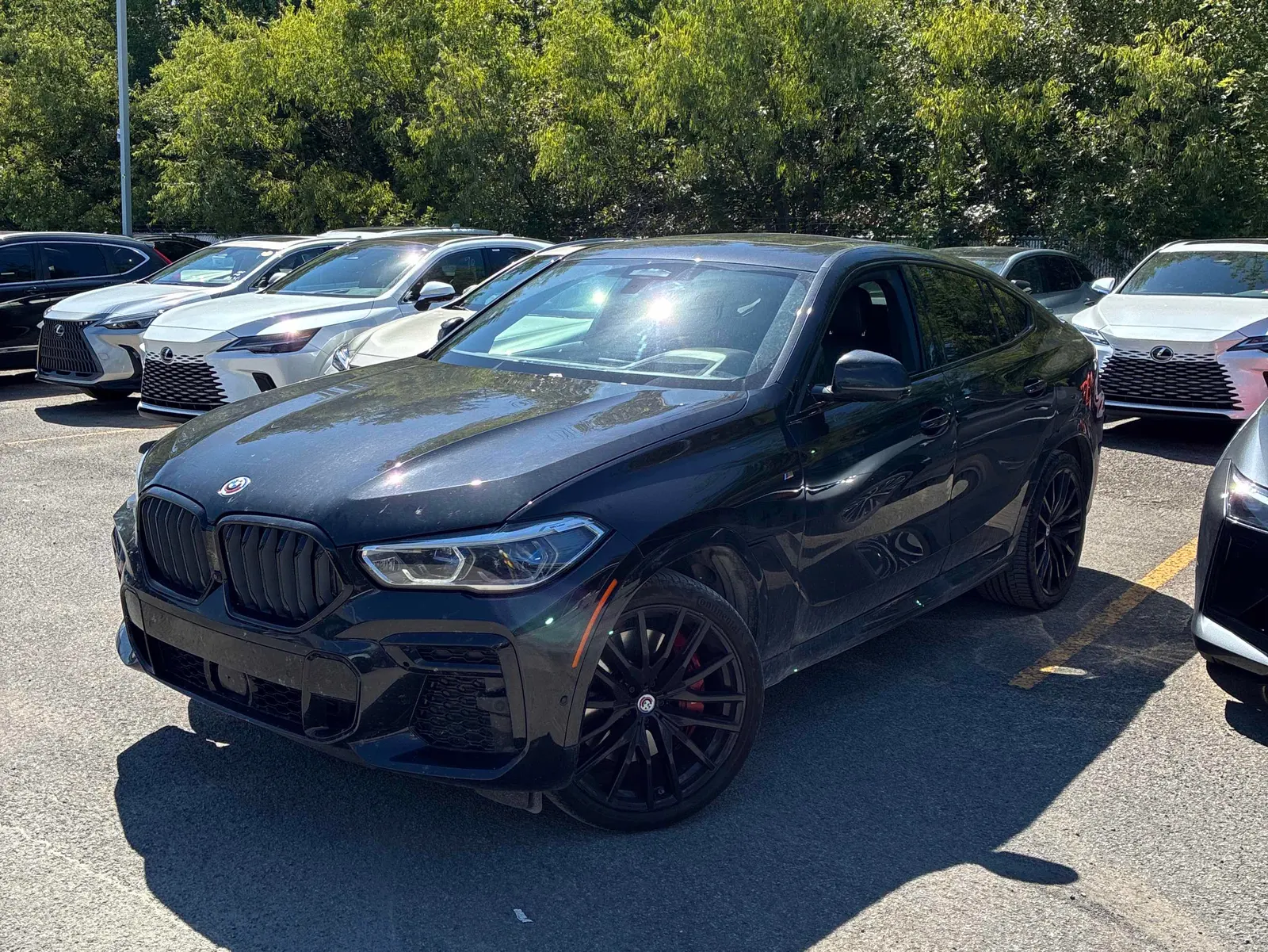 2023 BMW X6