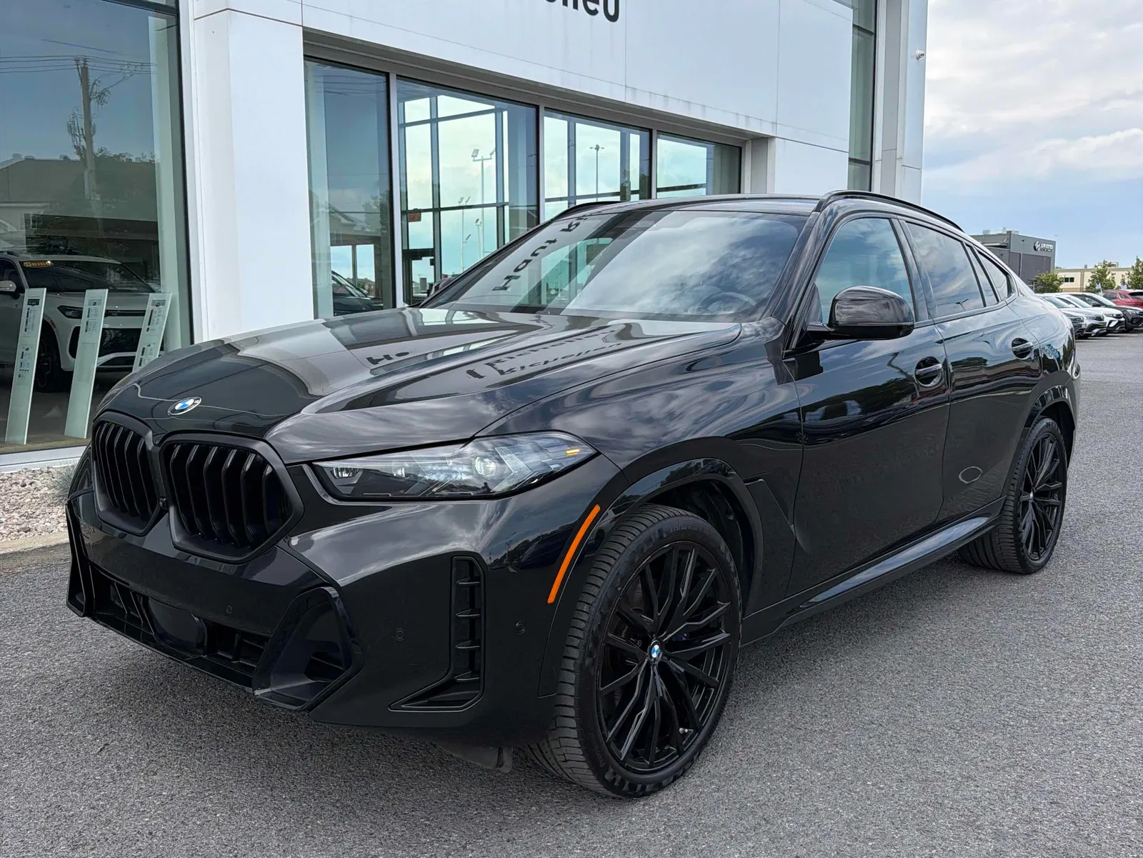 2024 BMW X6
