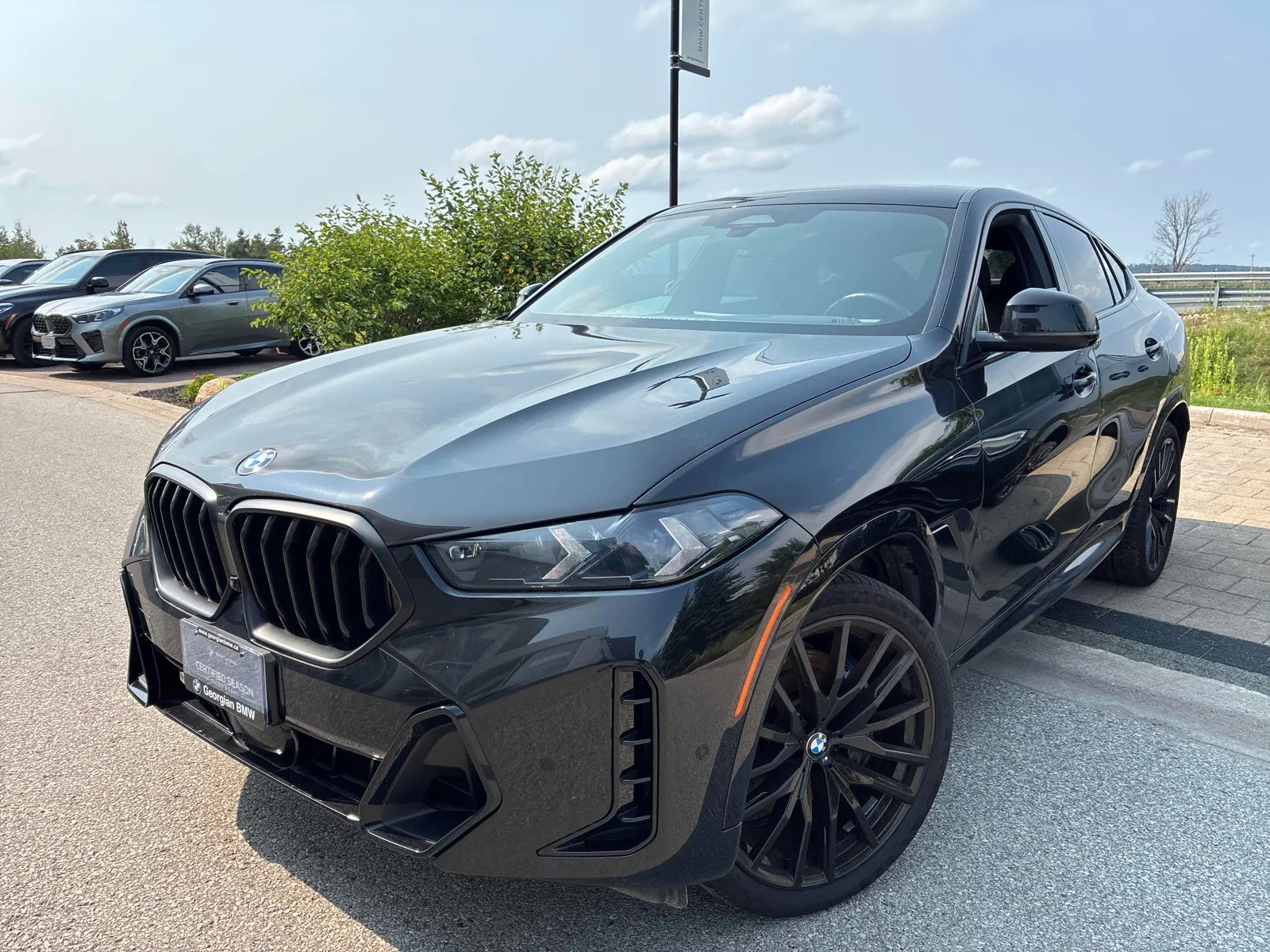 2024 BMW X6
