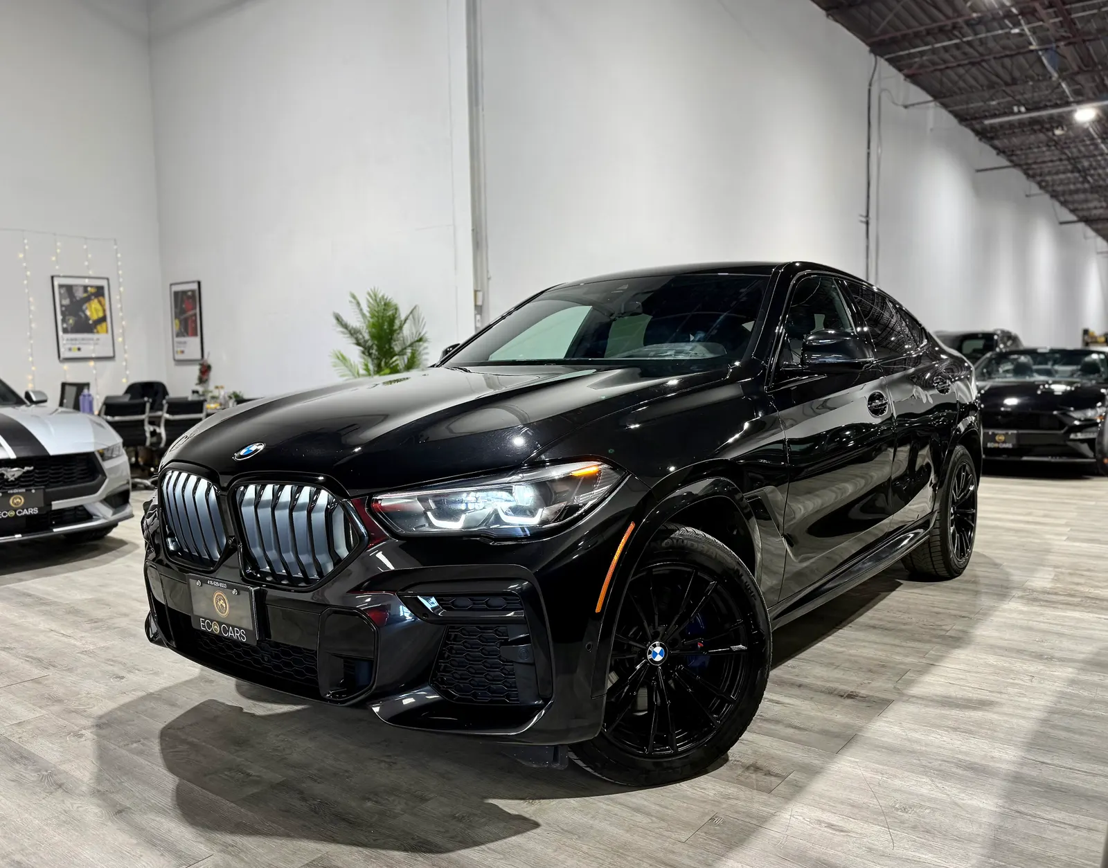 2023 BMW X6