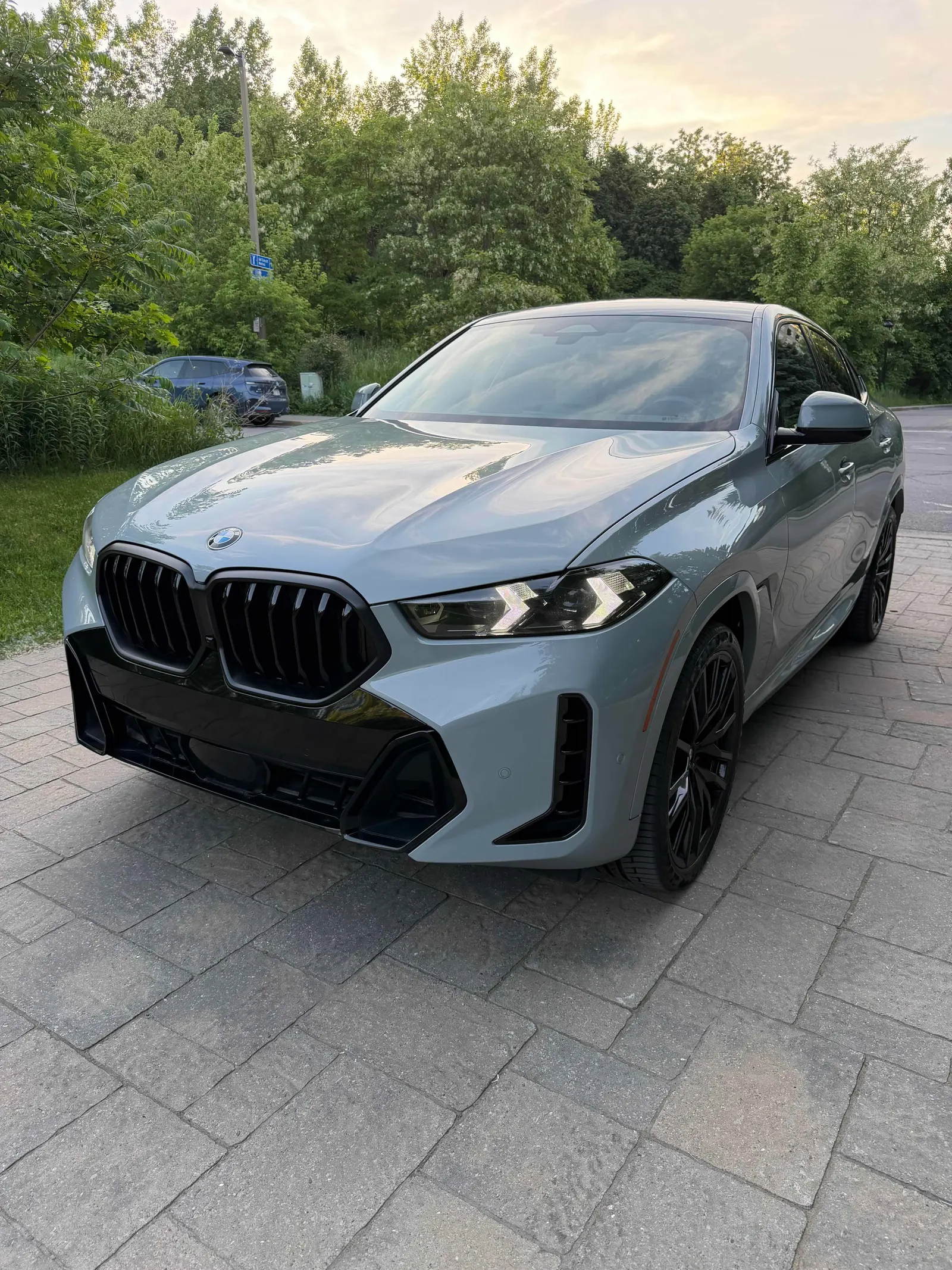 2024 BMW X6