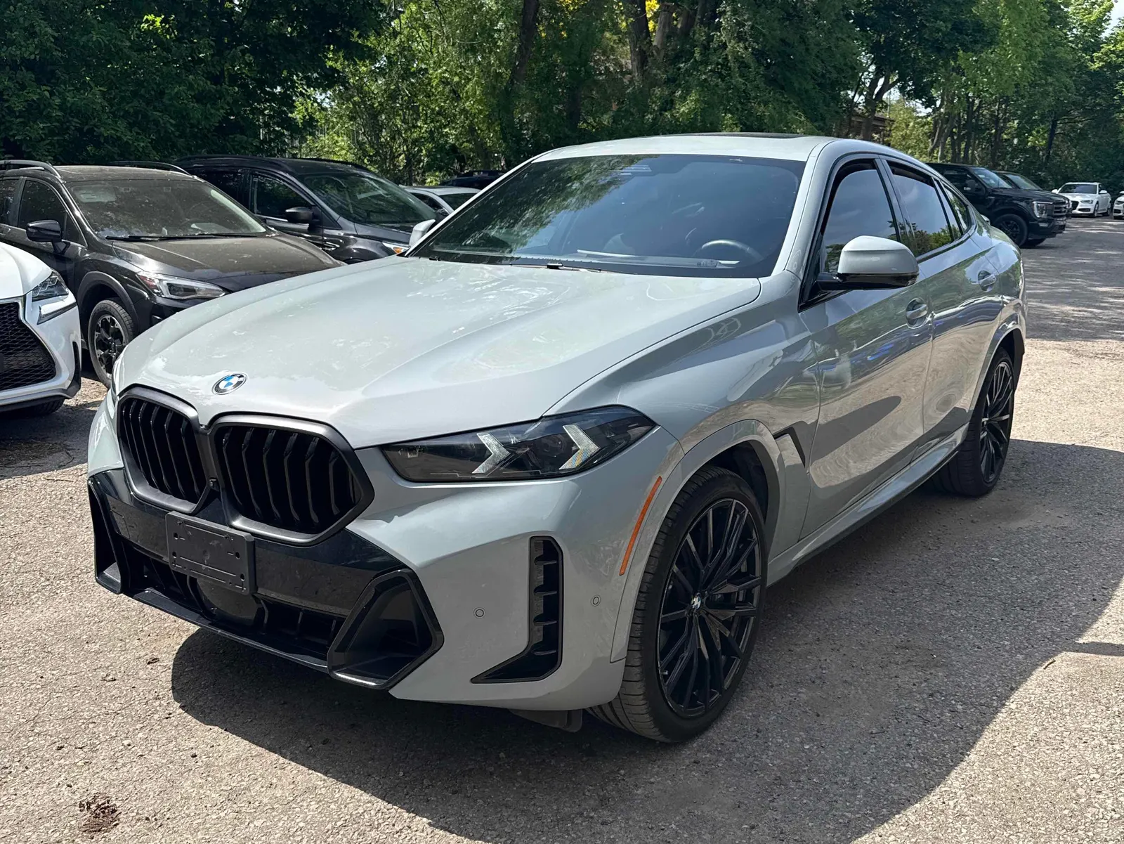 2024 BMW X6