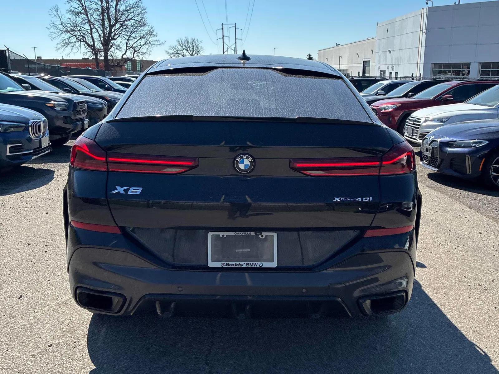 Back
