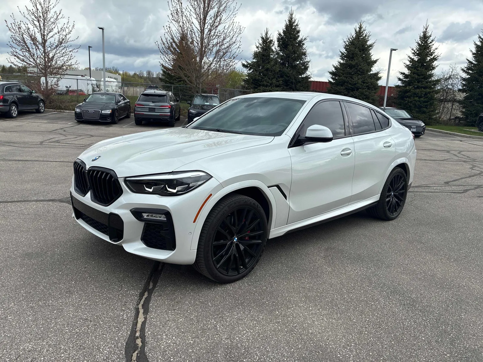 2021 BMW X6