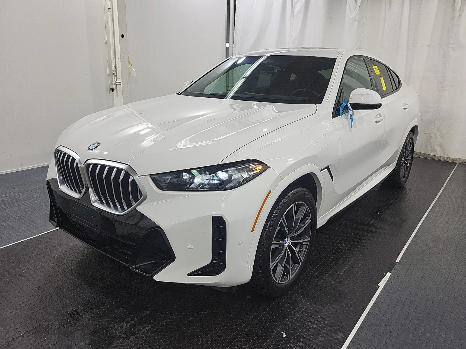 2024 BMW X6