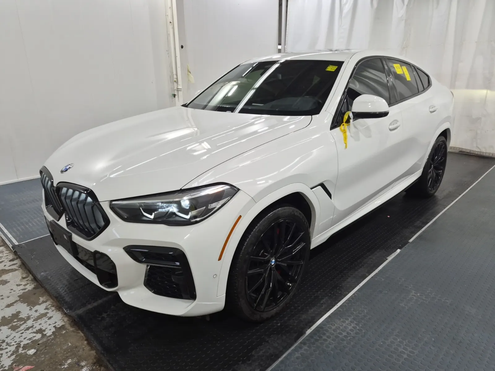 2023 BMW X6