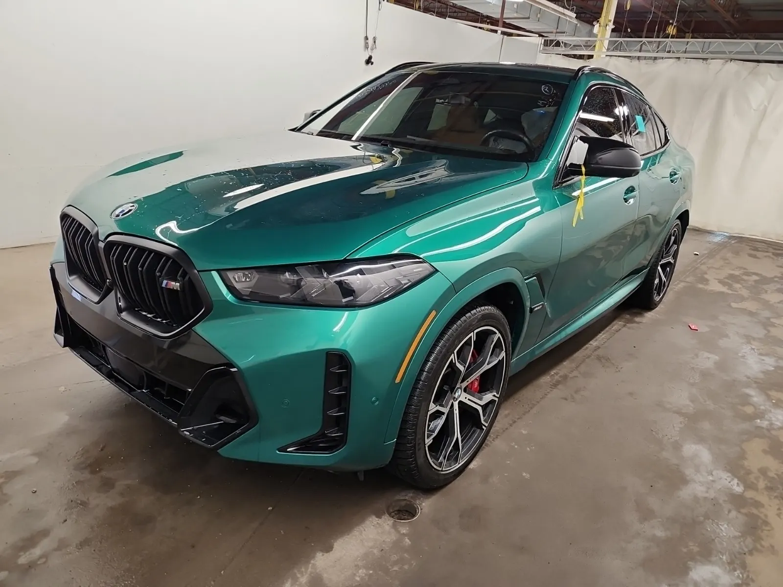 2024 BMW X6