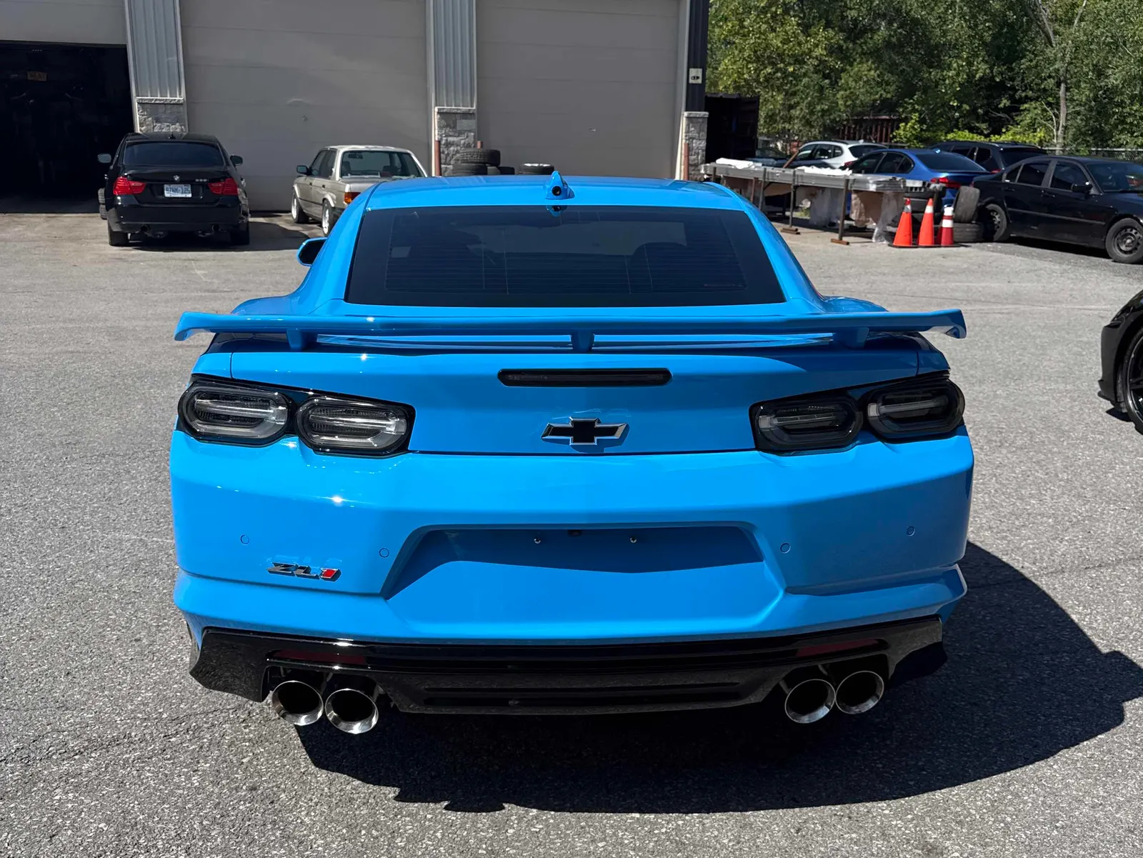 Back