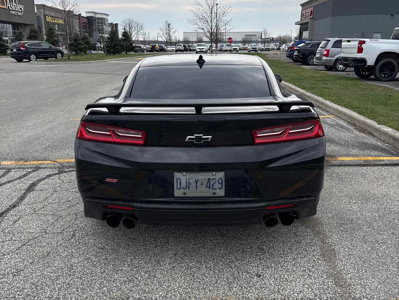 Back