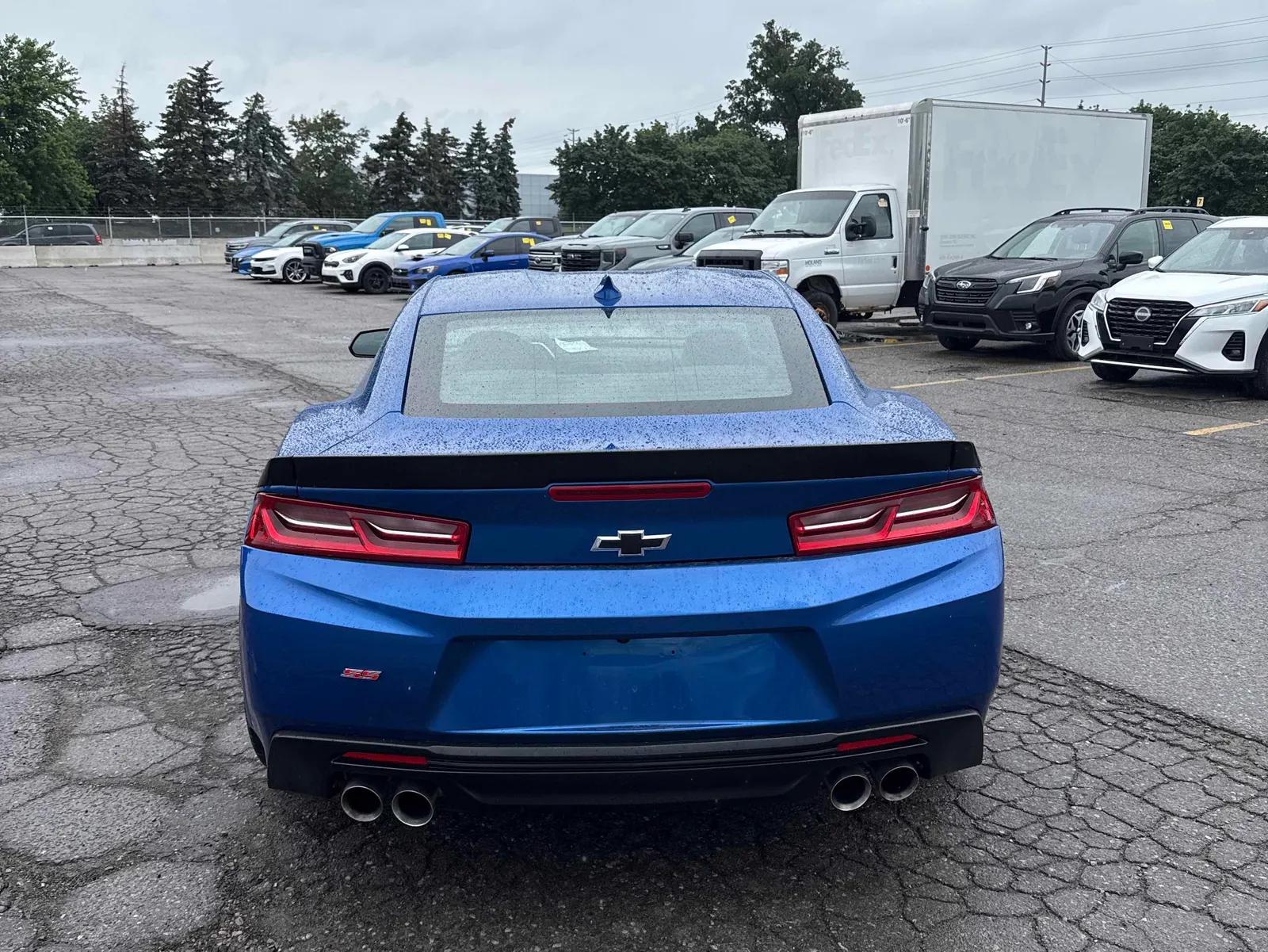 Back