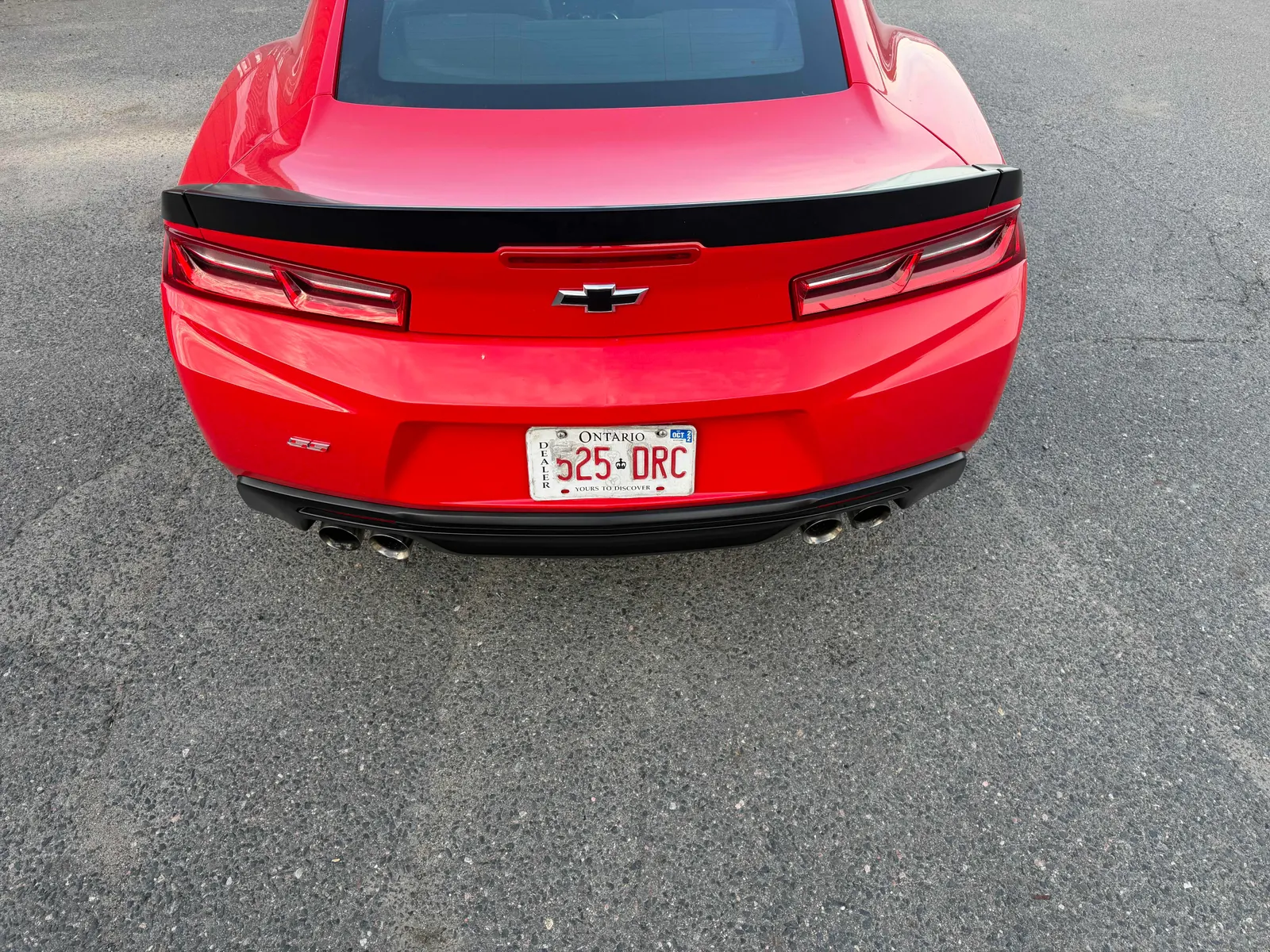 Back
