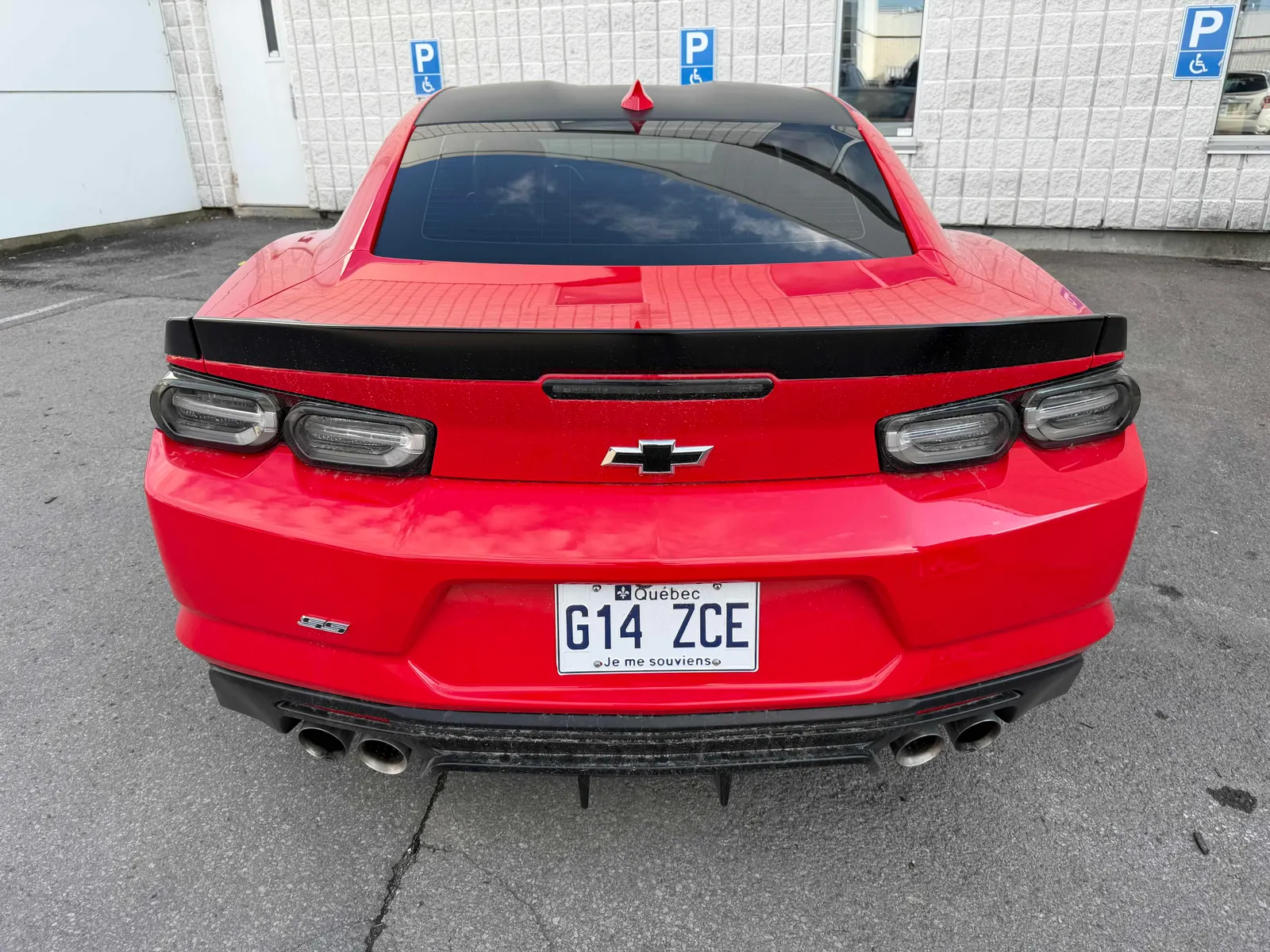 Back