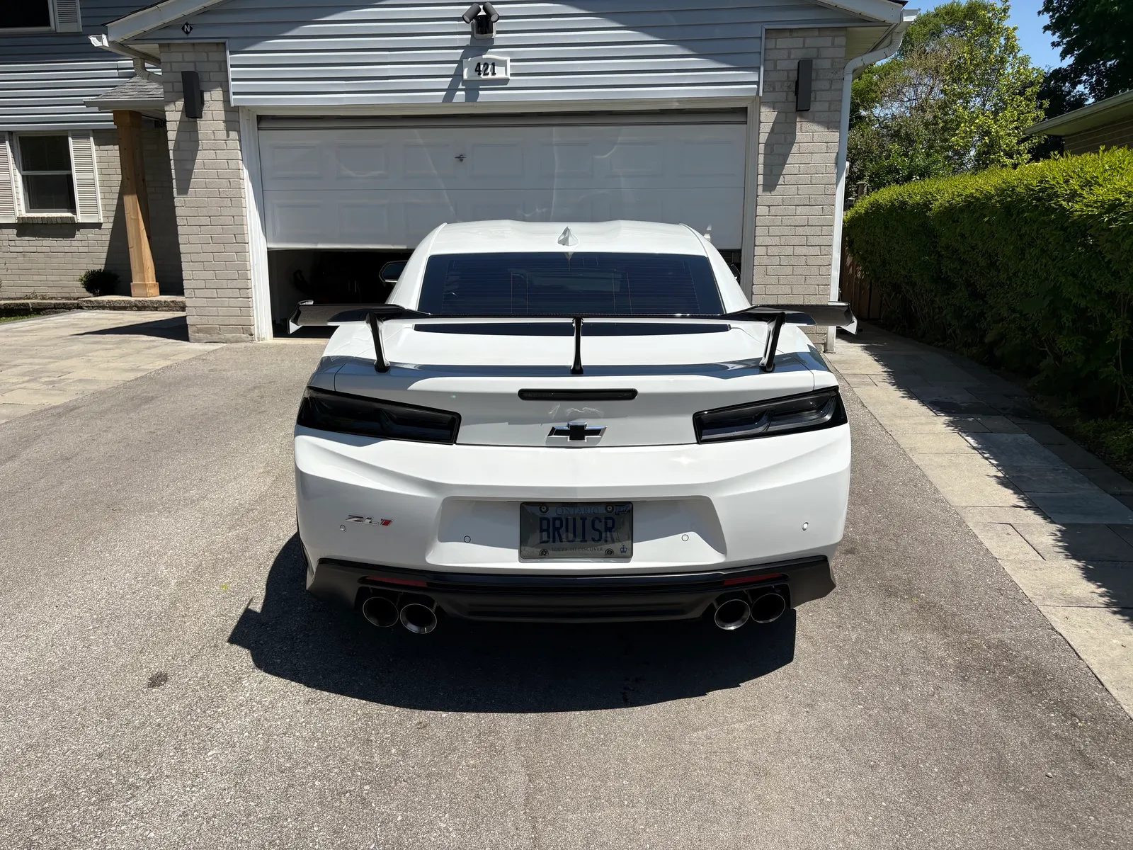 Back
