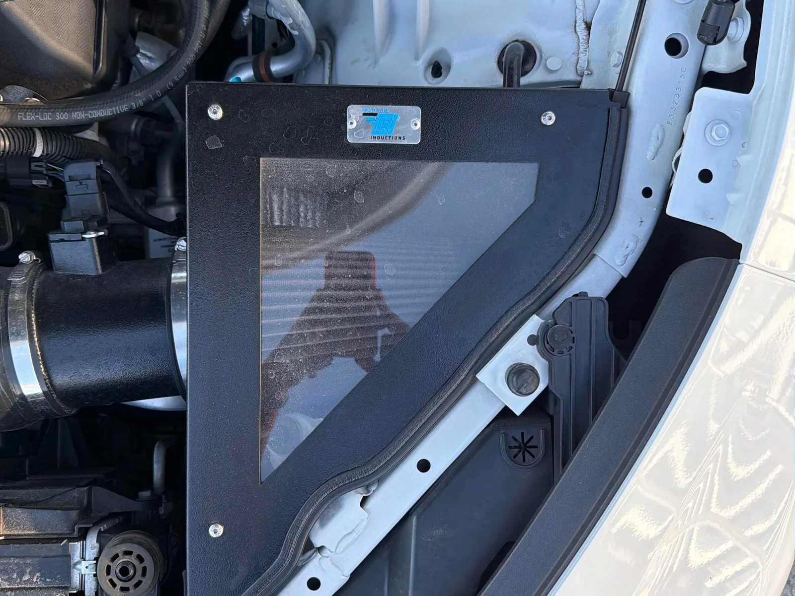 Additional Photo